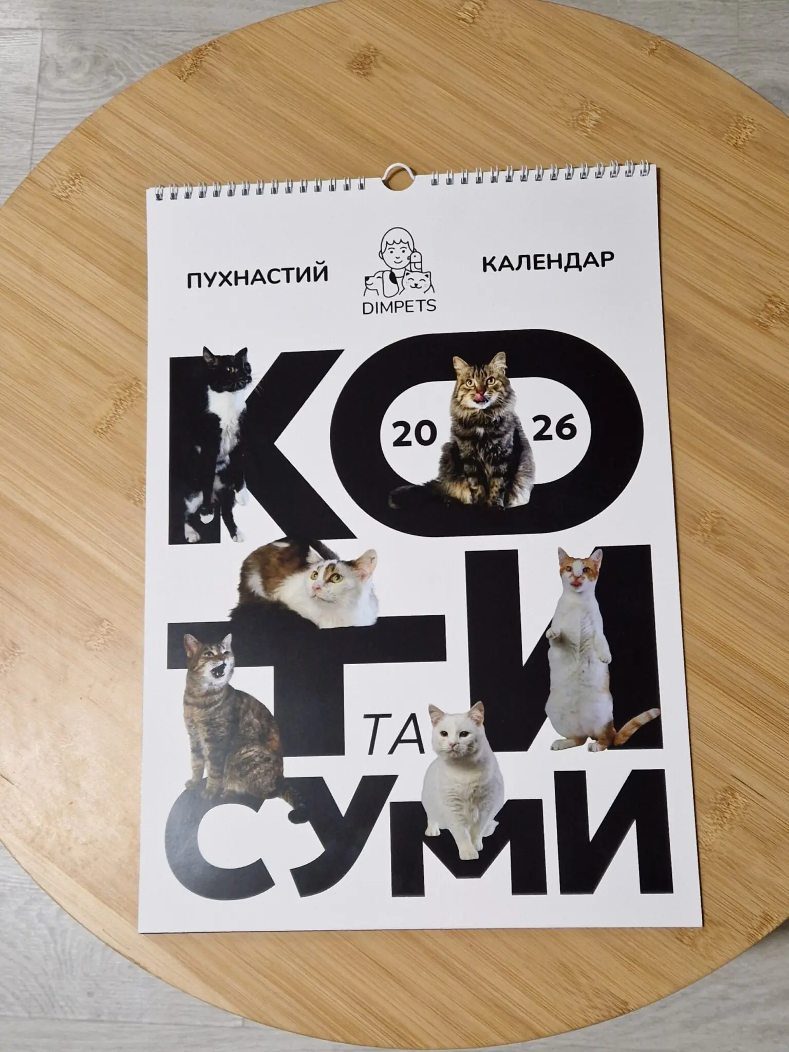 Пухнастий календар Суми і коти
