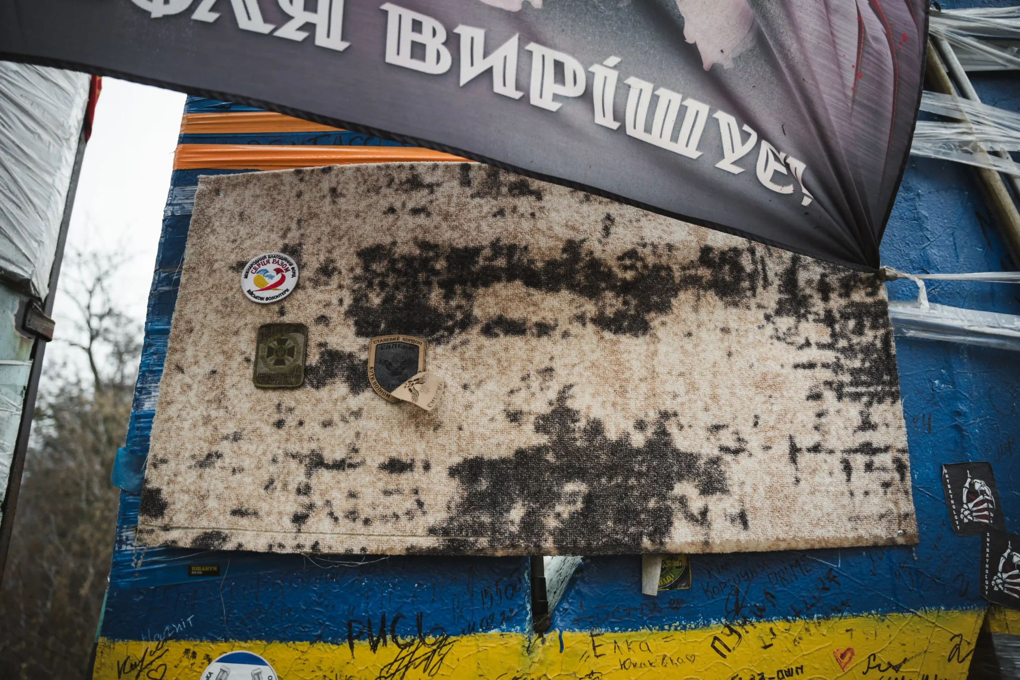 Всередині однієї з літер примостилаця блідо-брунатна шевронниця. На ній вже є три шеврони.