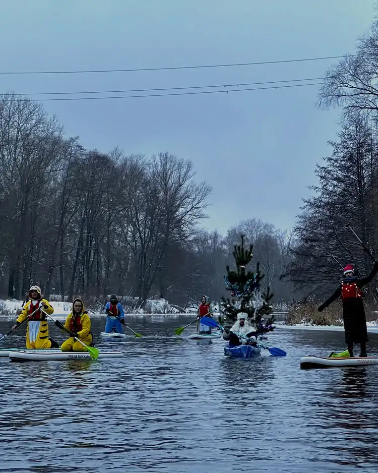 заплив різдвяний