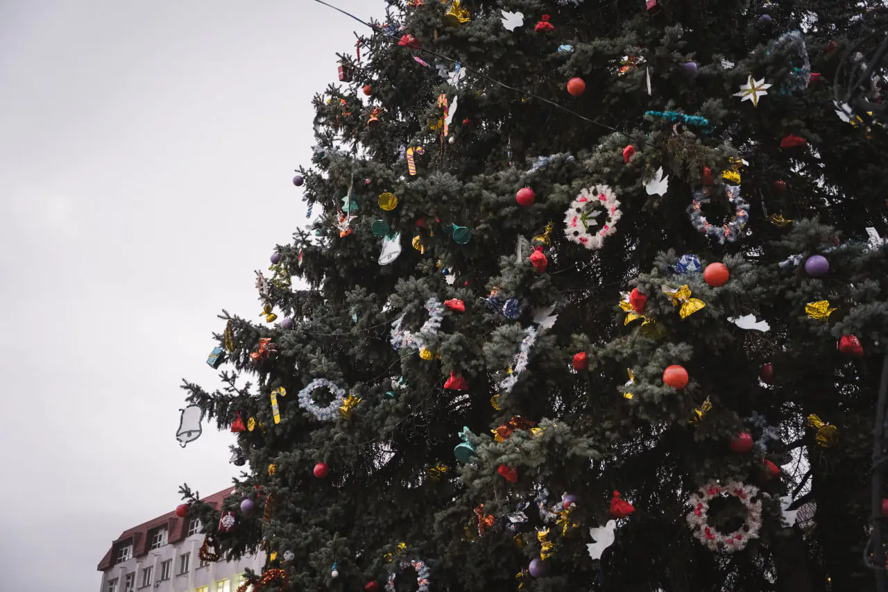 ялинка в центрі Сум