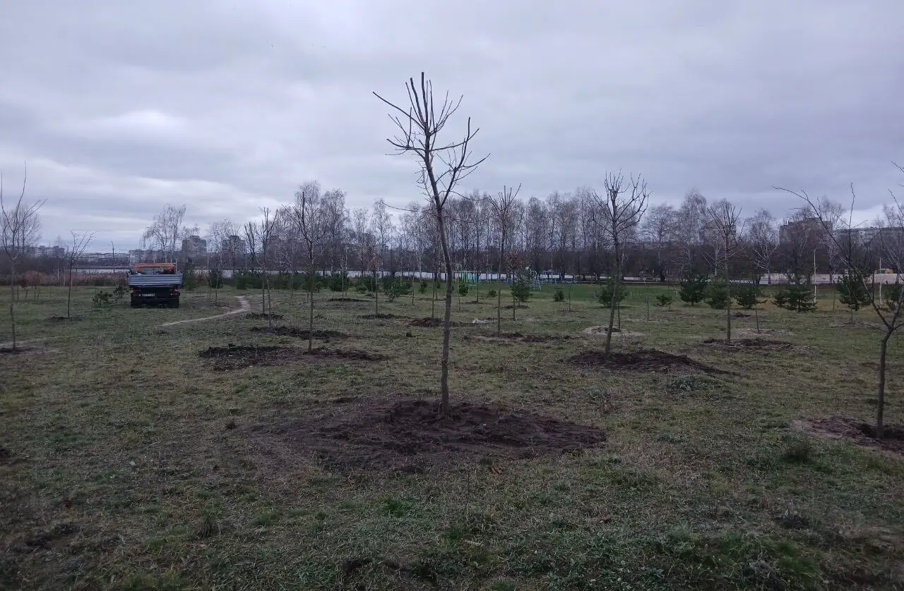 Біля Чешки висадили дерева