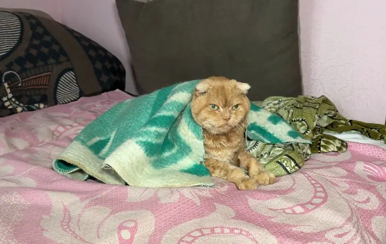 chomu v sumakh problemy z opalenniam 1 chomu v sumakh problemy z opalenniam 1