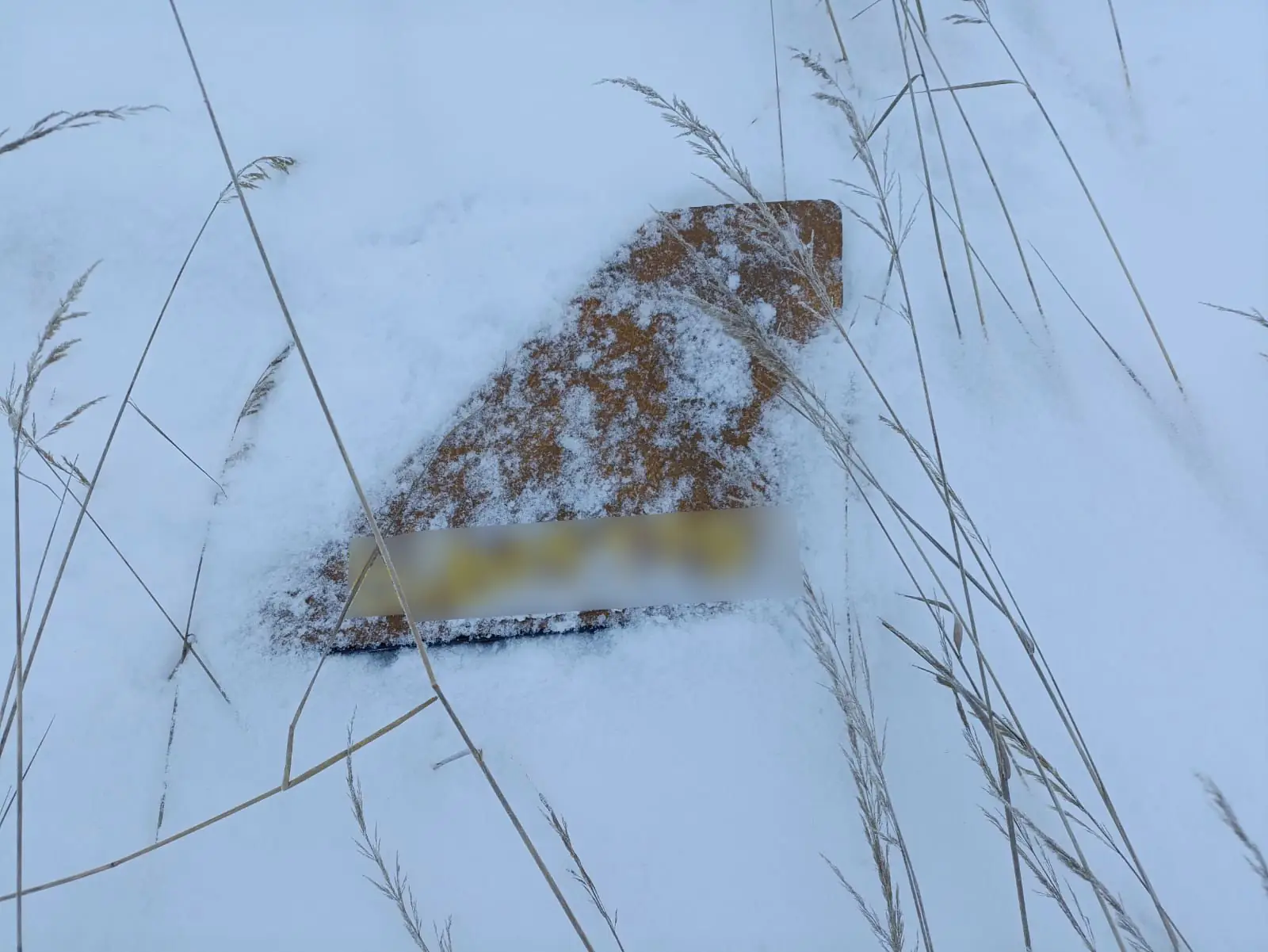 уламкик від російського БпЛА Мерлін-ВР