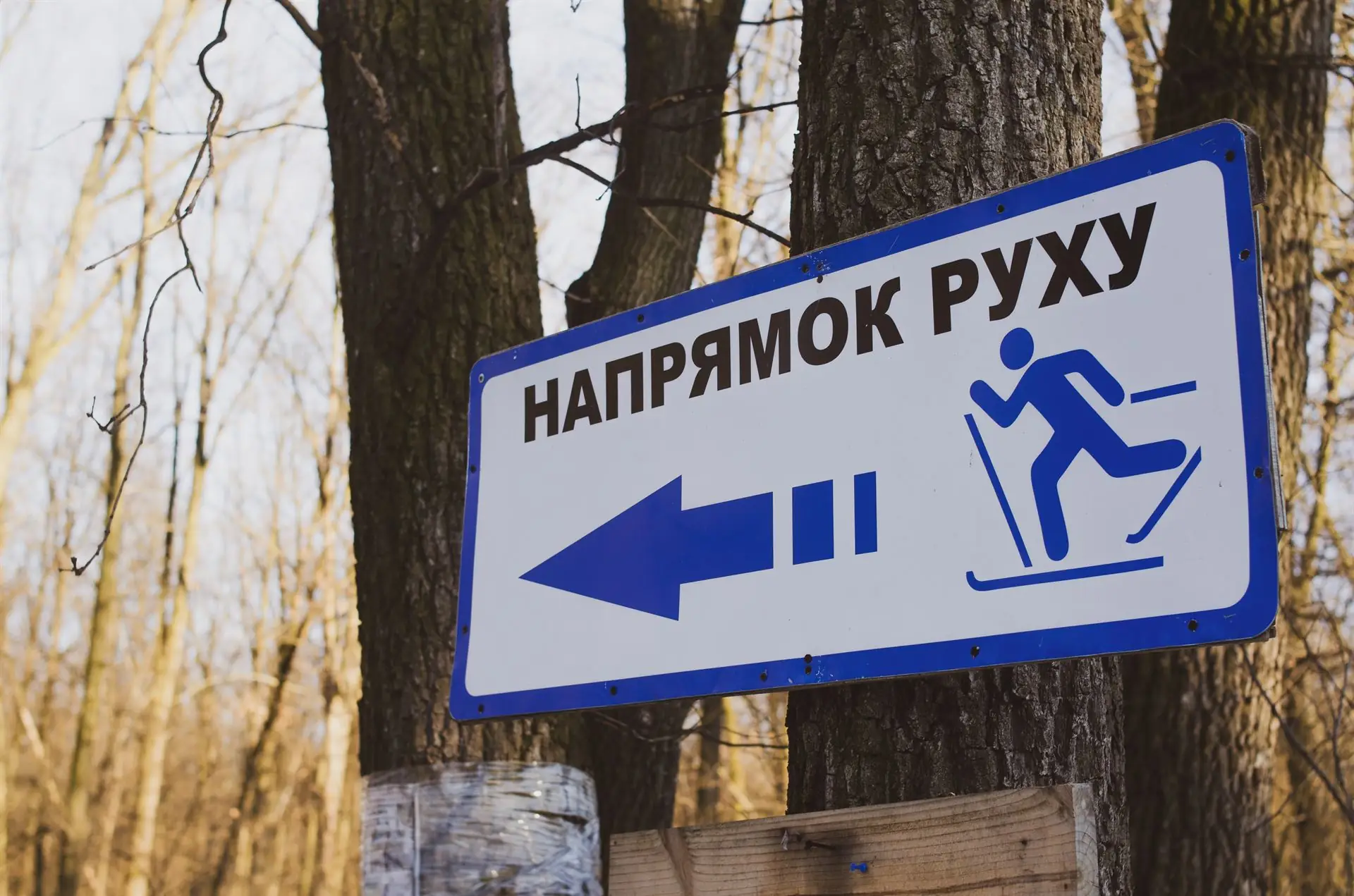 napryamok rukhu dlya lyzh