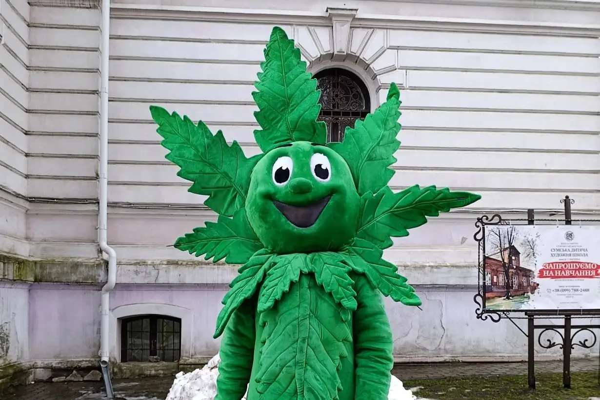 rostova lylalka mood shop rostova lylalka mood shop