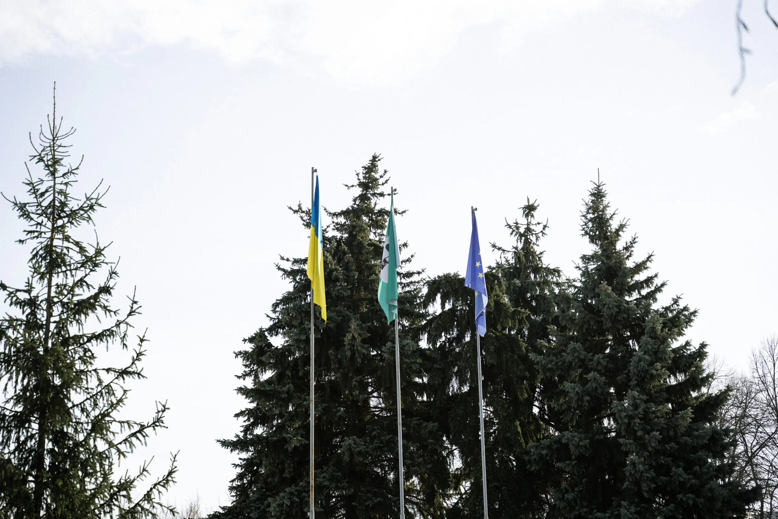 Суми з прапорами