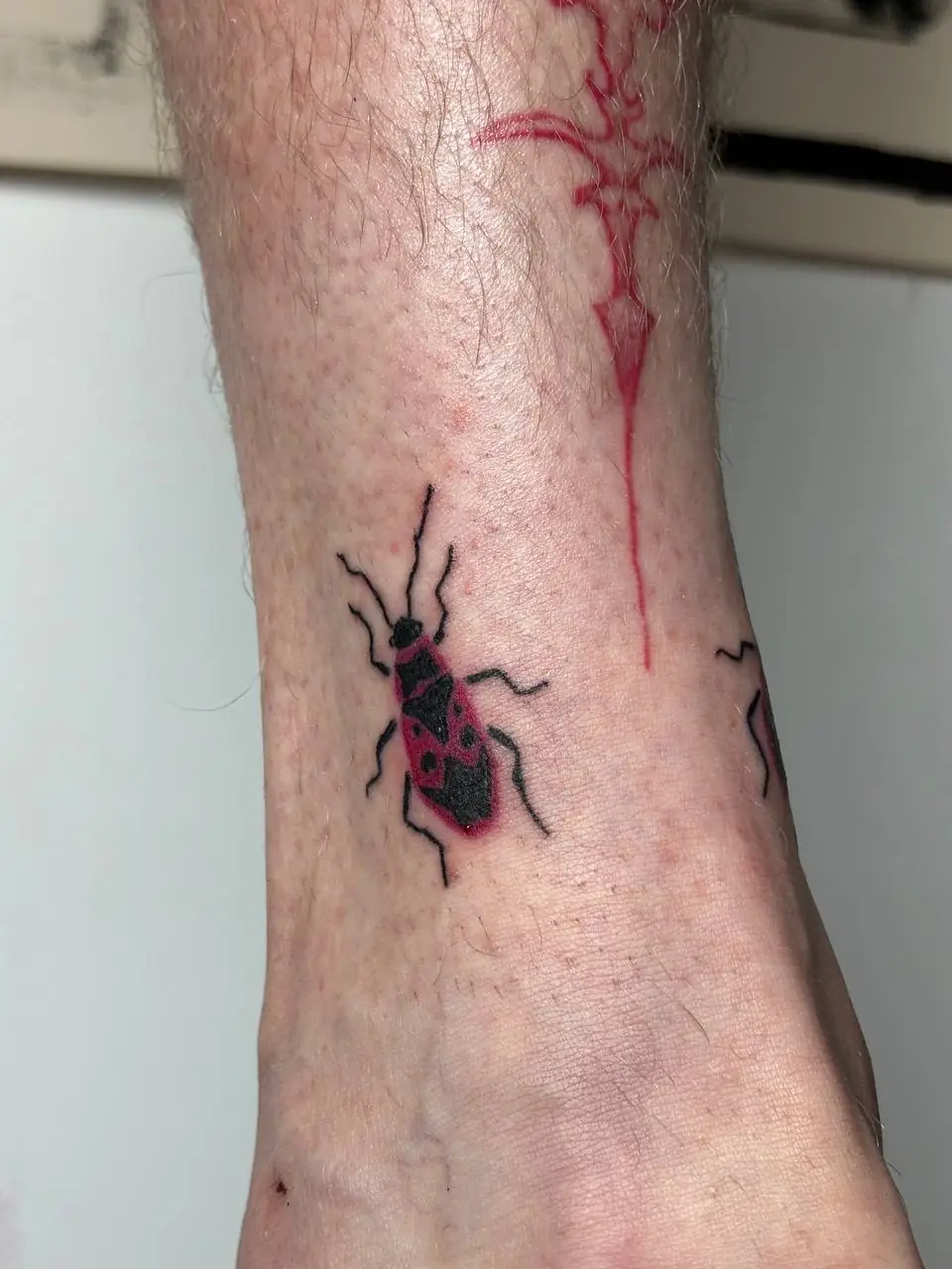 Тату із жуком-москаликом від сумської майстрині