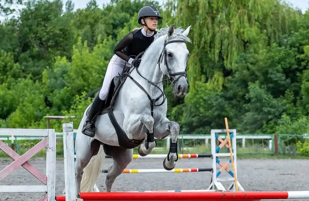 вершниця на коні