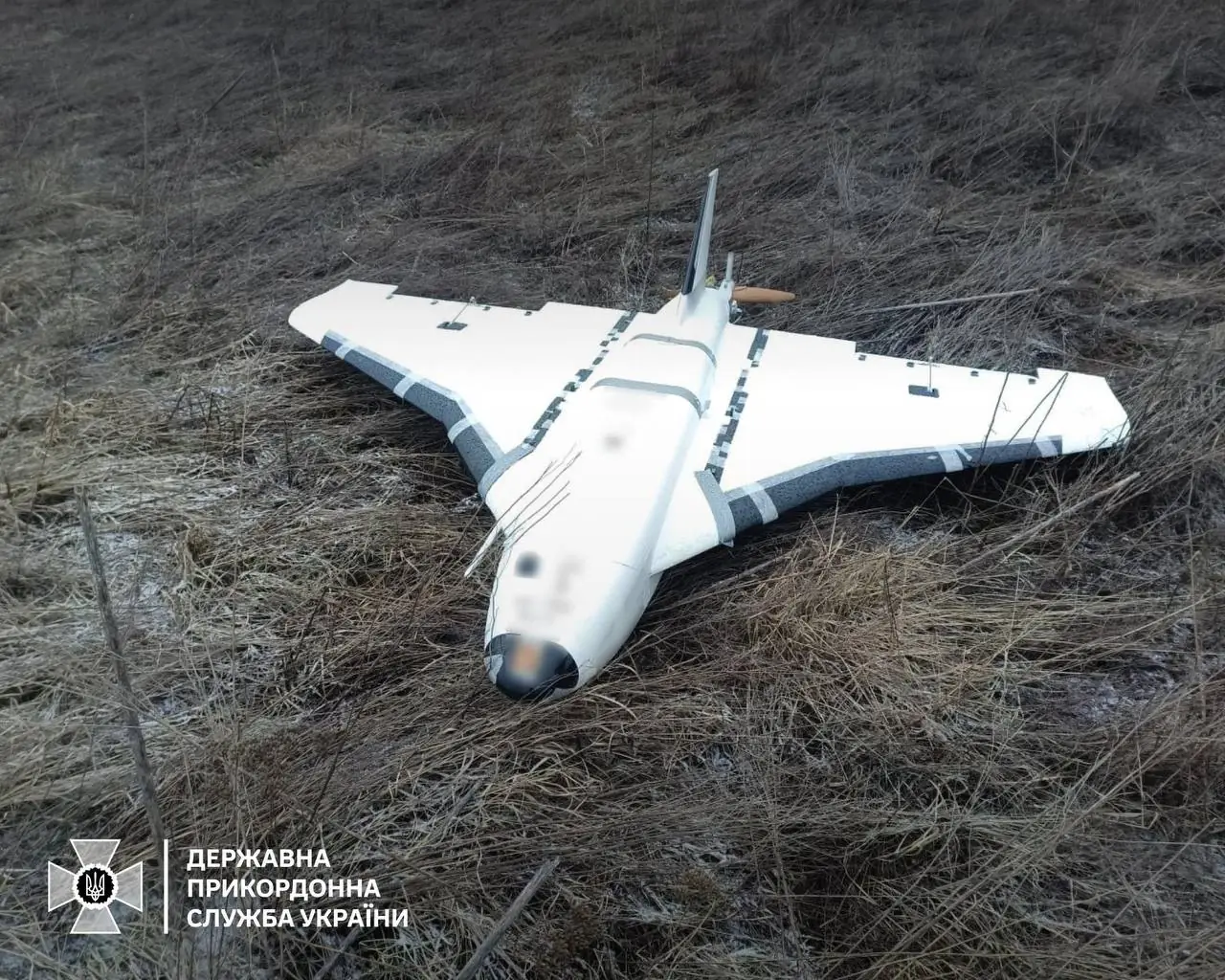 Безпілотник Гербера