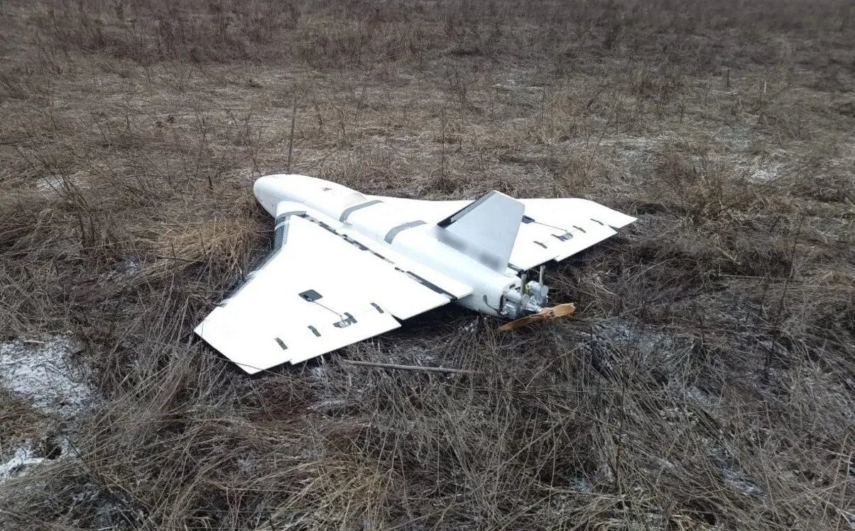 gerbera na sumshchyni (1)