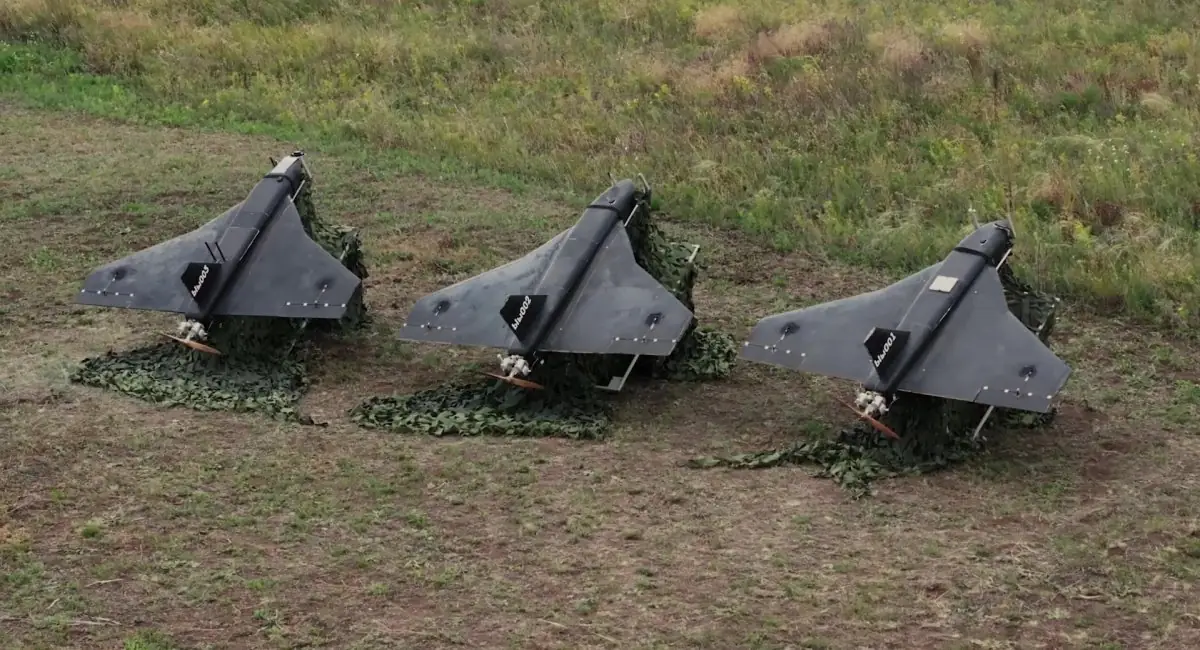 gerbera Три безпілотники «Гербера», виготовлені в РФ, розташували на полі.