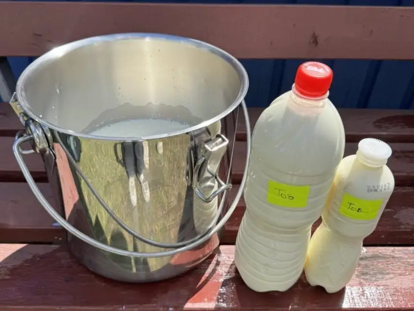 молоко в Сумах