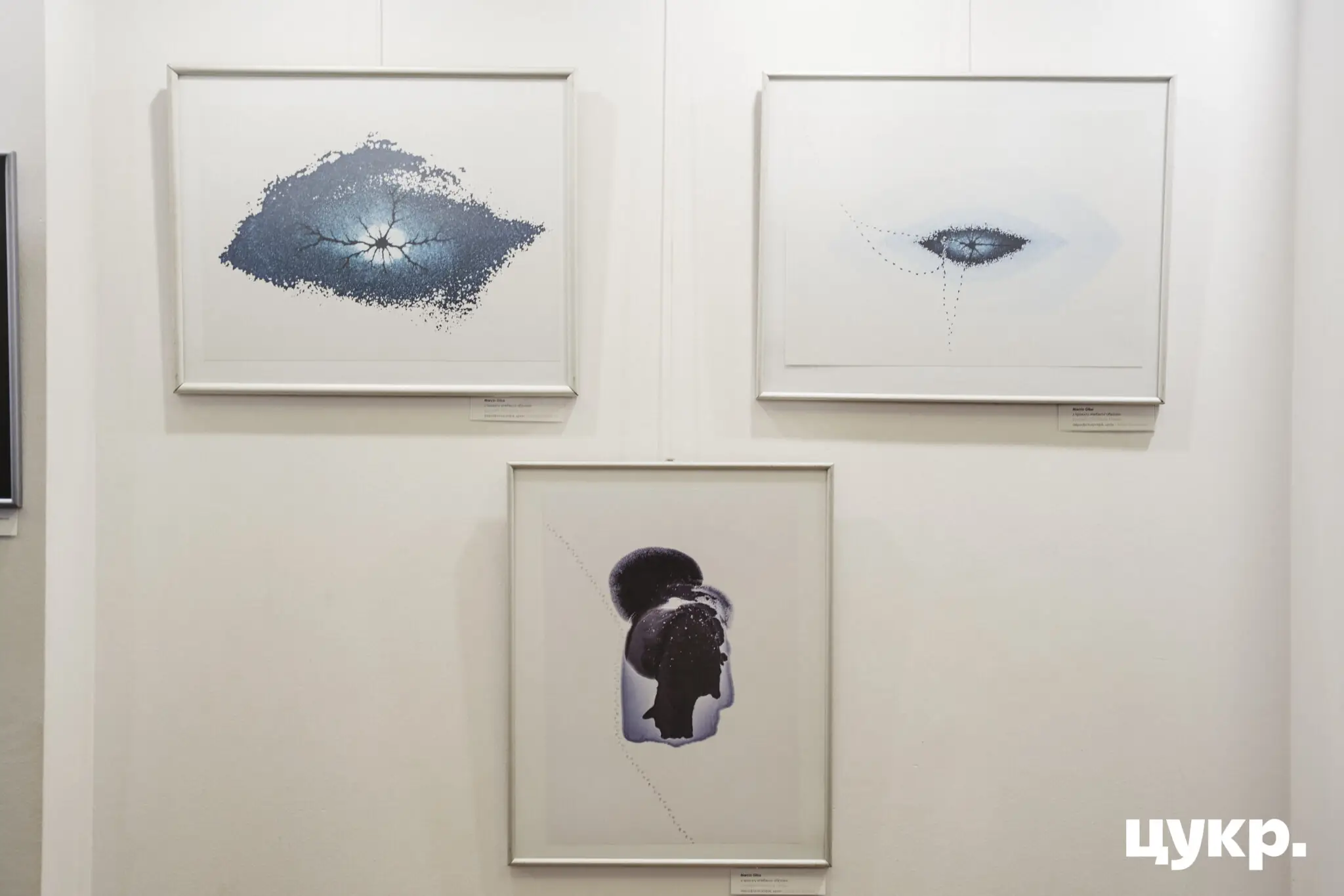 аеройзомка на виставці в Сумах