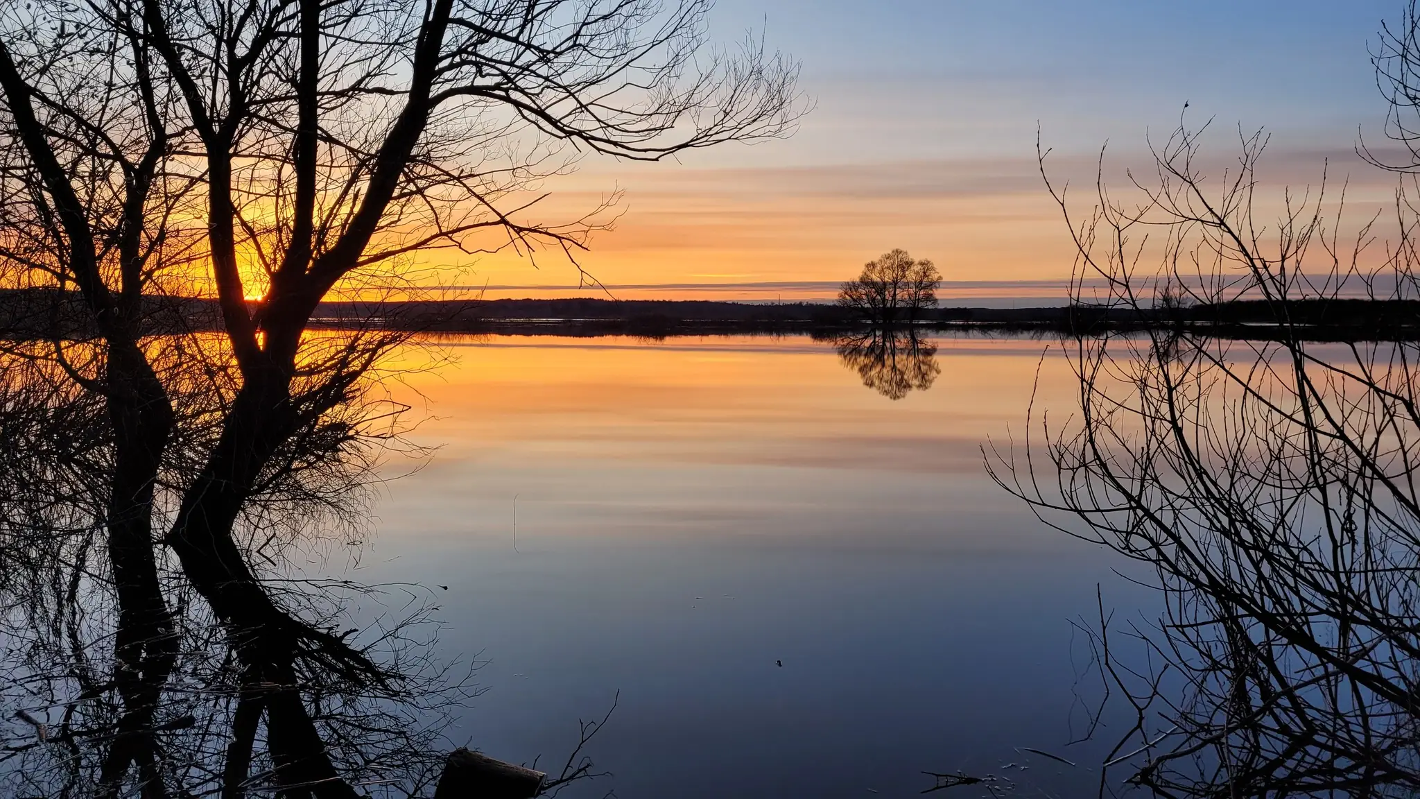 Деснянсько-Старогутський НПП