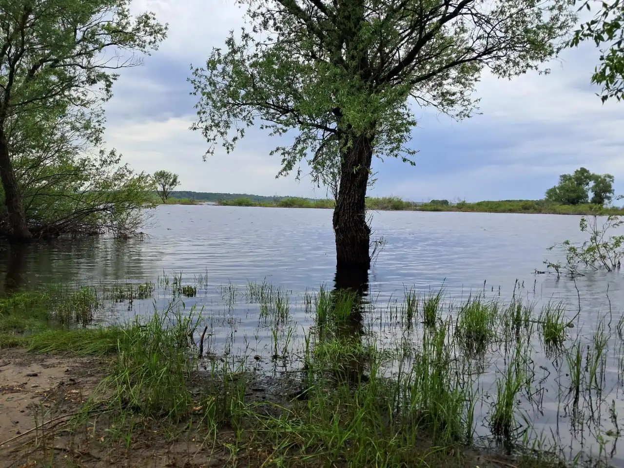desnianskyi biosfernyi rezervat