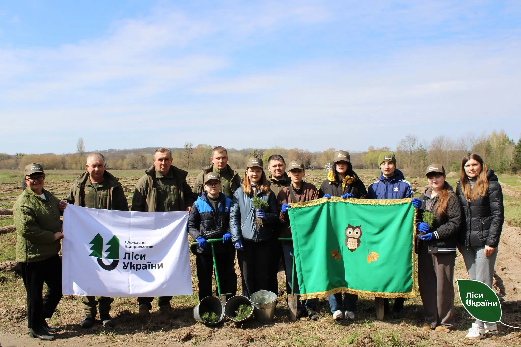 Ліси України висадили ліс на Сумщині