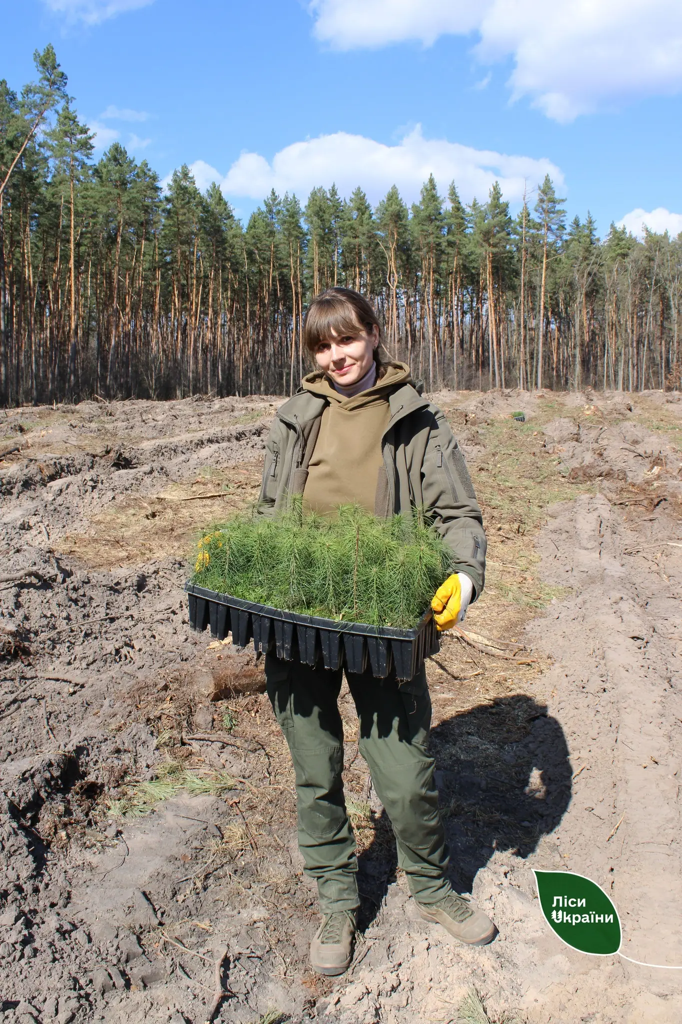 дівчина несе сіянці дерев