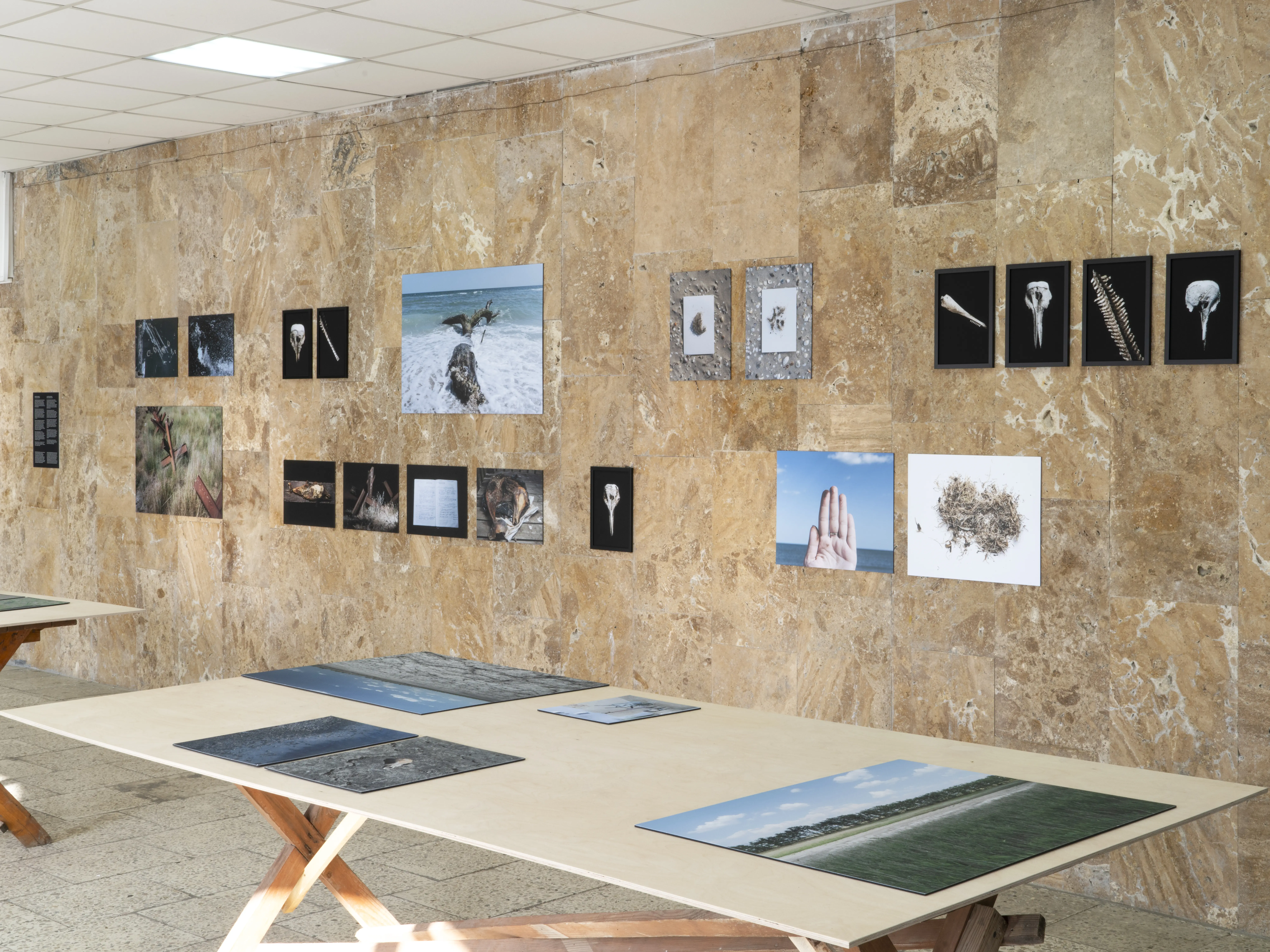 експозиція виставки документування впливу війни на екологію 