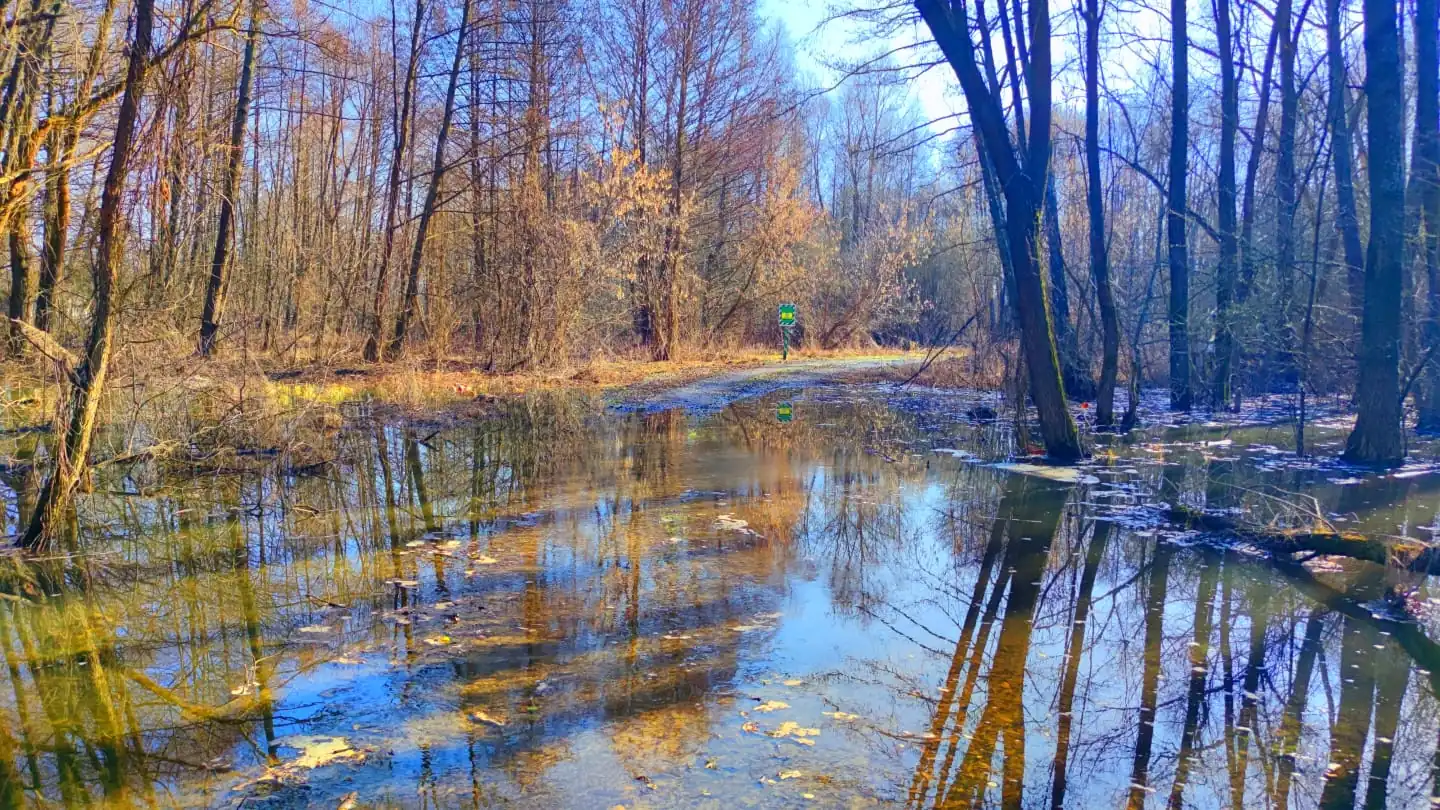hetmanskyi natsionalnyi pryrodnyi park