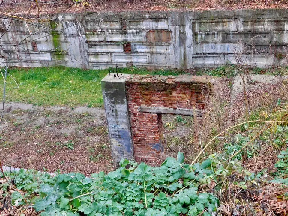 Занедбане подвір'я в Сумах покрите мохом.