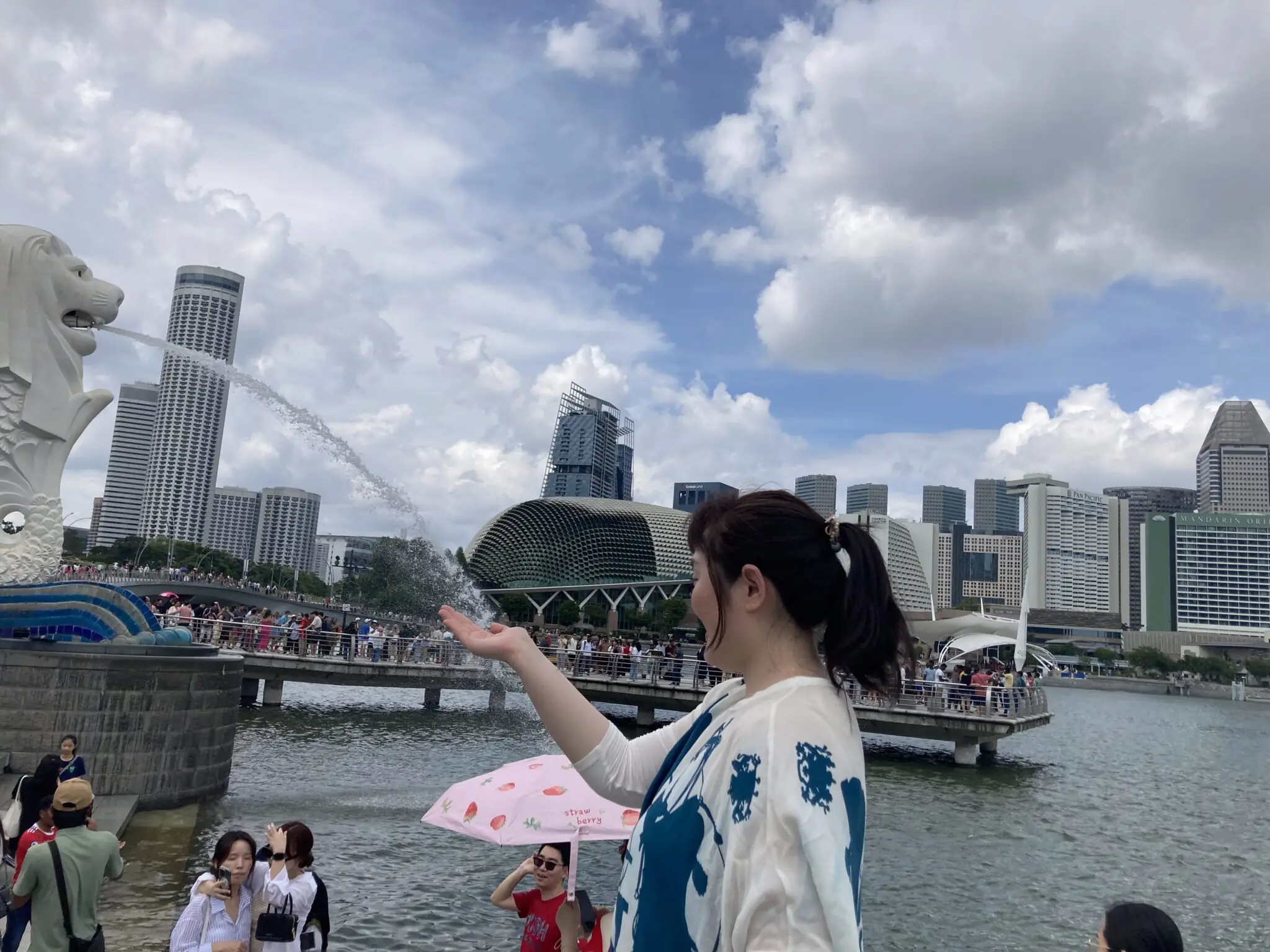 liza z druzyamy v singapuri