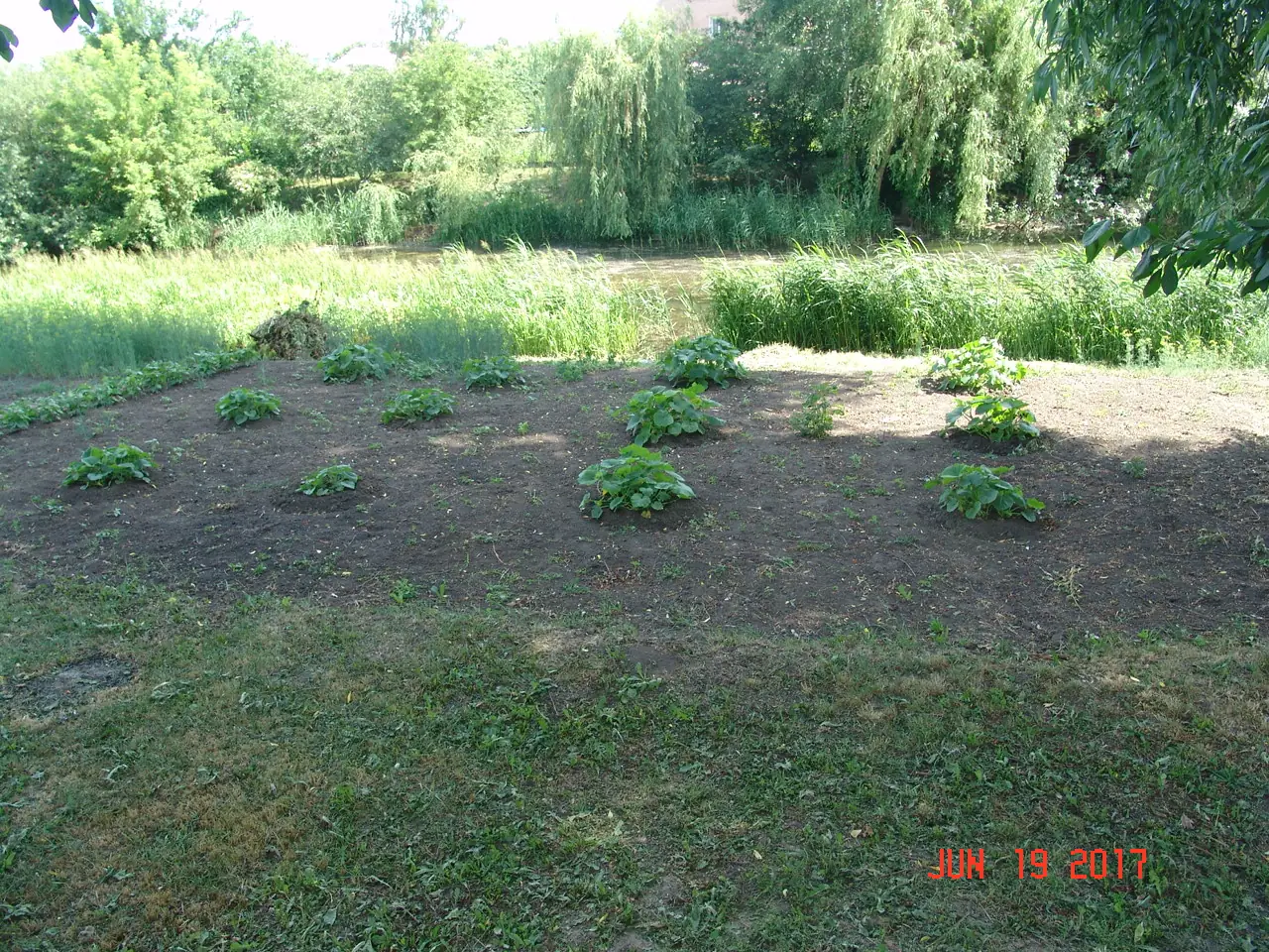 nezakonni horody bereh ricjky sumy