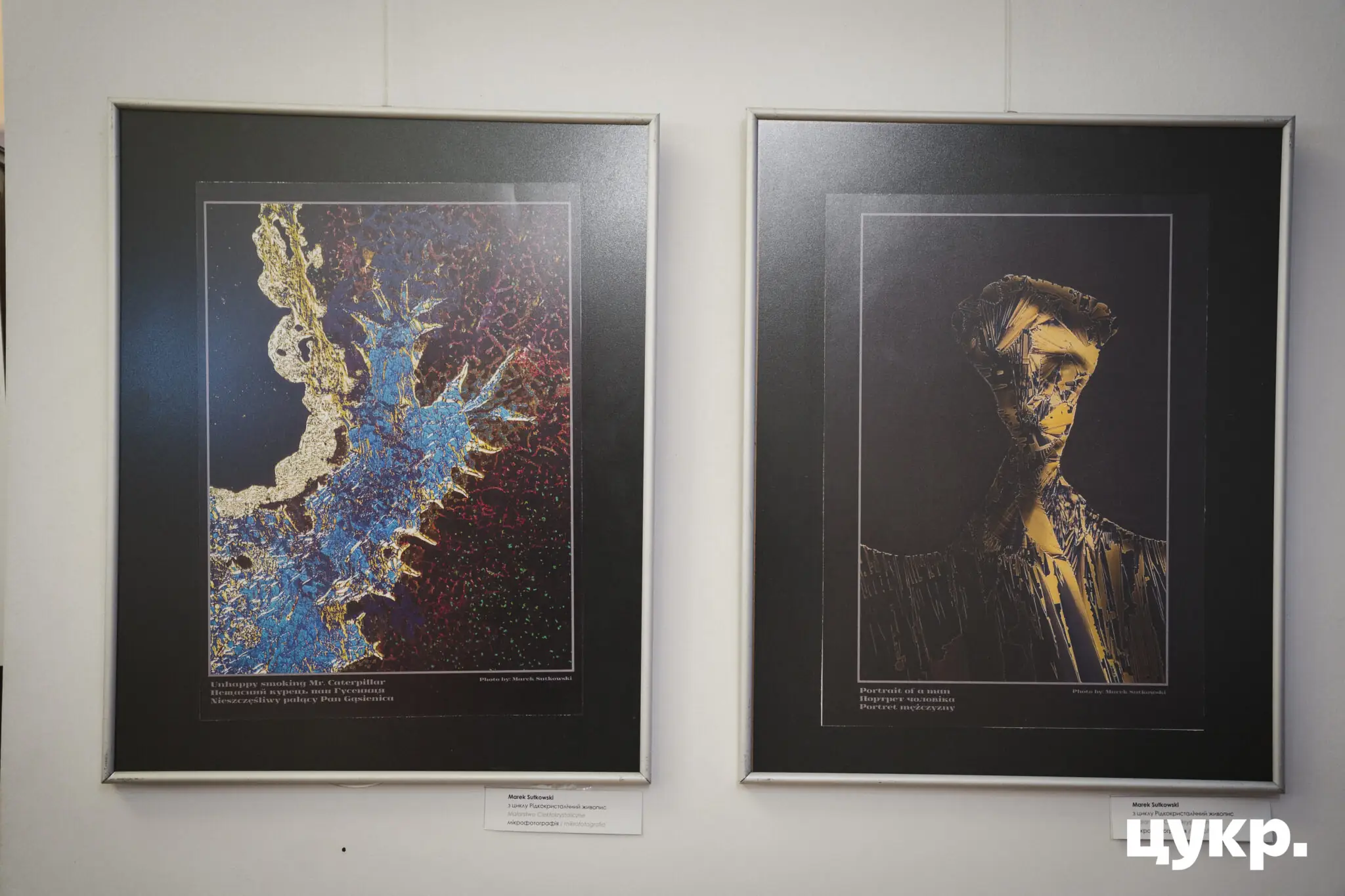 Рідкокристалічний живопис на виставці в Сумах