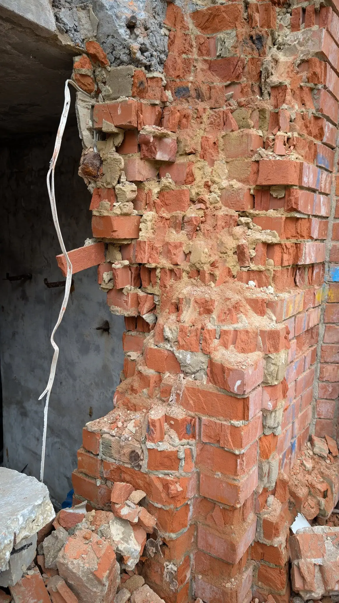 rozibrana tsehla rozibrana tsehla