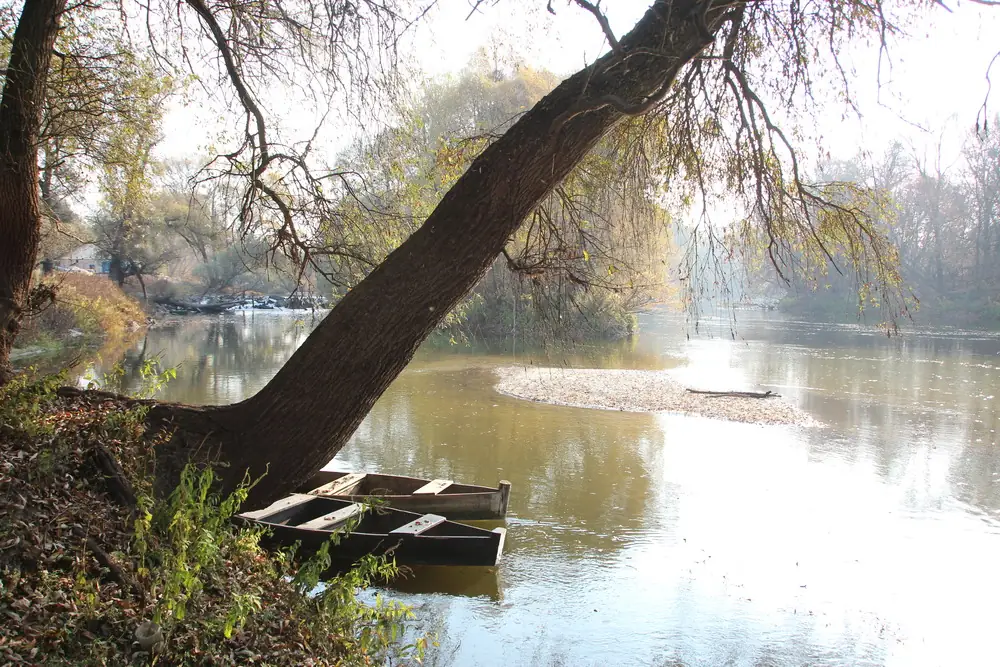 seim bereh sumshchyna