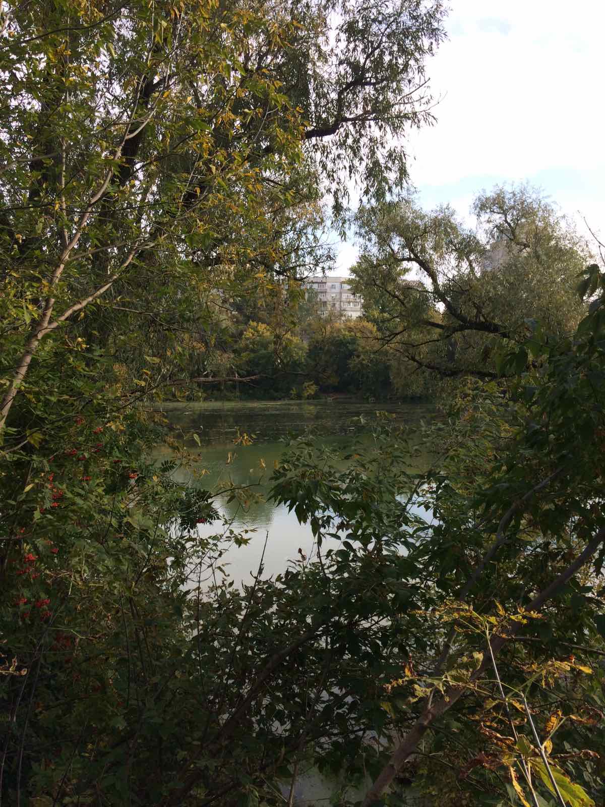 sumka richka zabrudnennia sumy