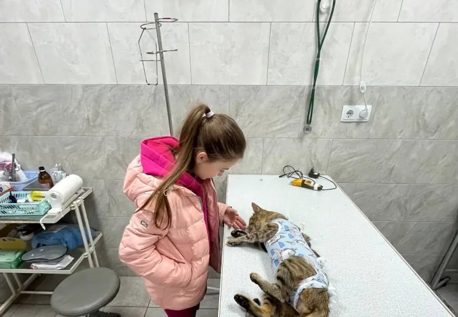 Ветеринарна лікарня Vetservis у Сумах