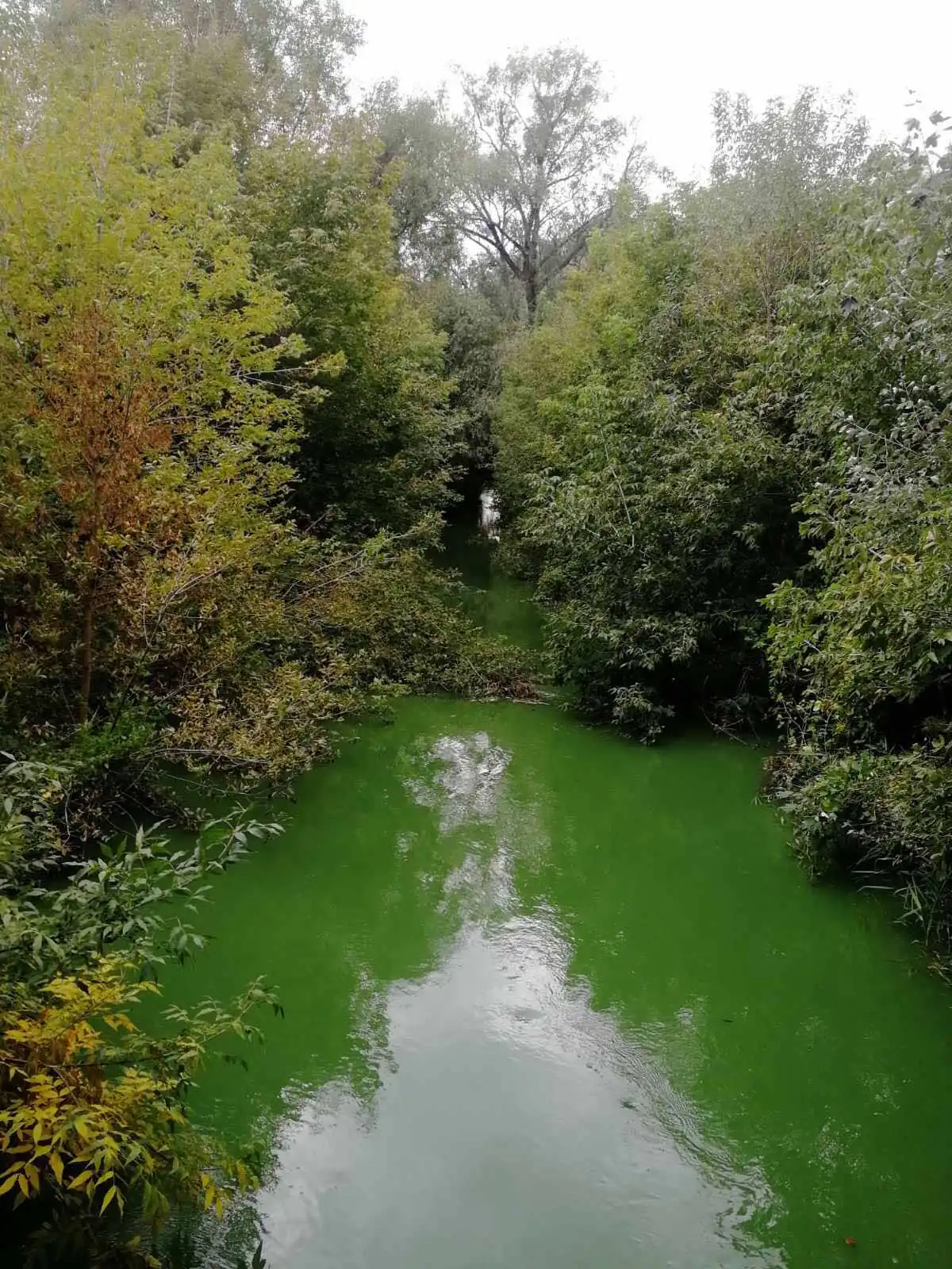 tsvidinnia vody richka sumka