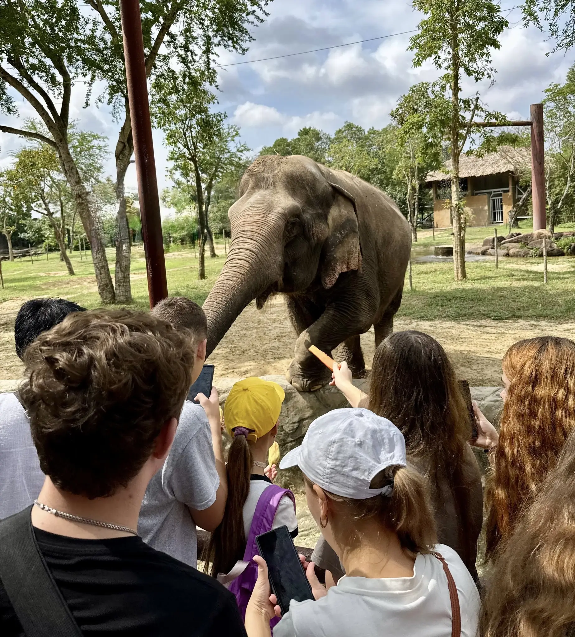 Мешканці Сумщини відвідали зоопарк зі слонами у В'єтнамі