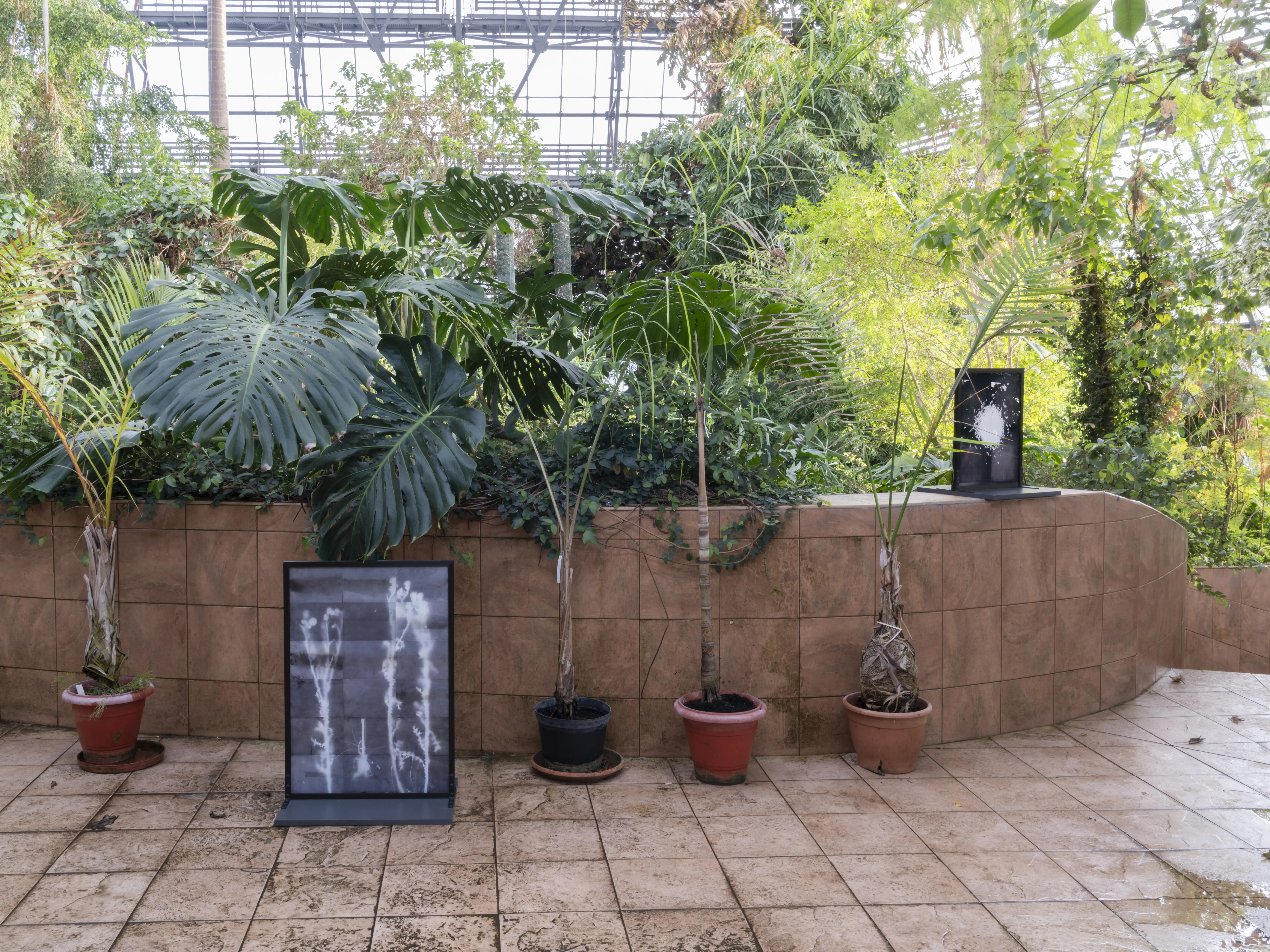 Екологічна виставка в саду імені Гришка