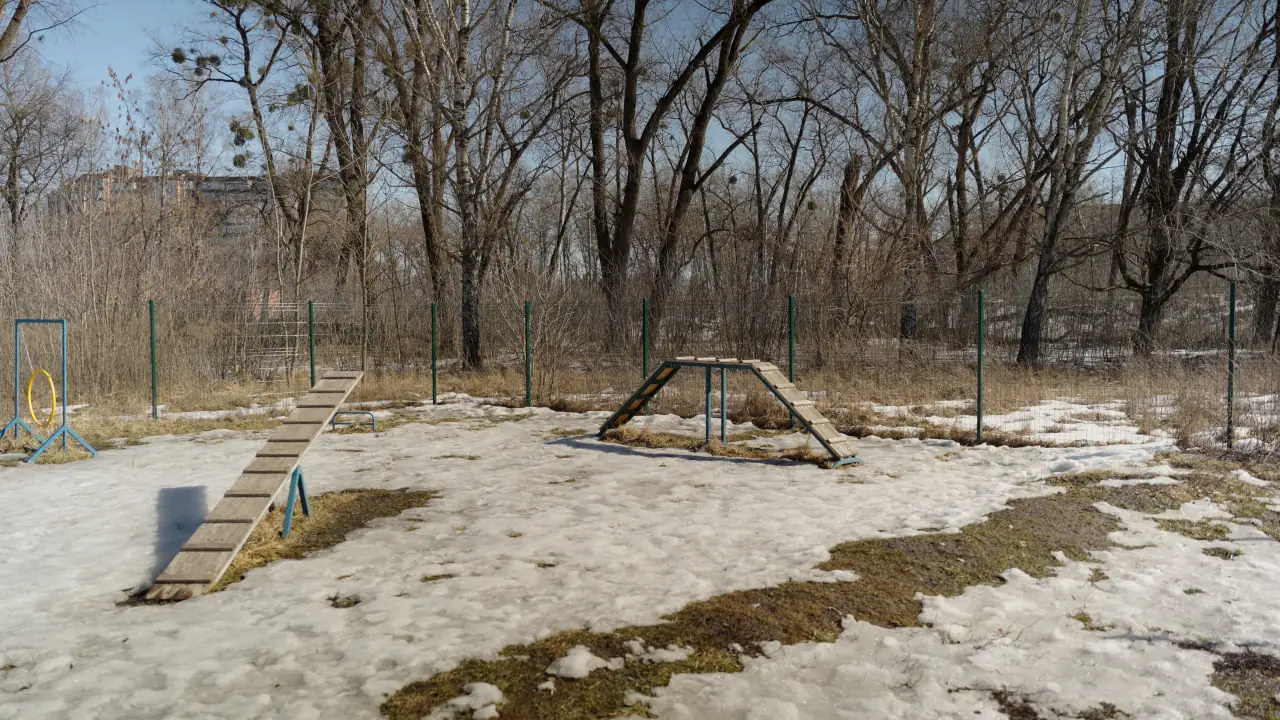 Майданчик для дресирування тварин в Сумах, облаштований школярів Paw Patrol. Фото: Цукр