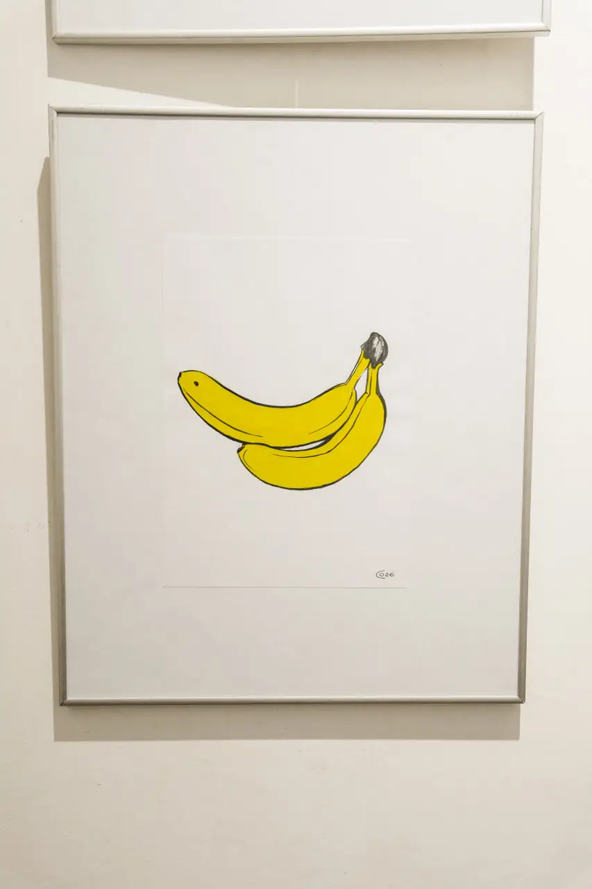 banan olga sergienko vystavka