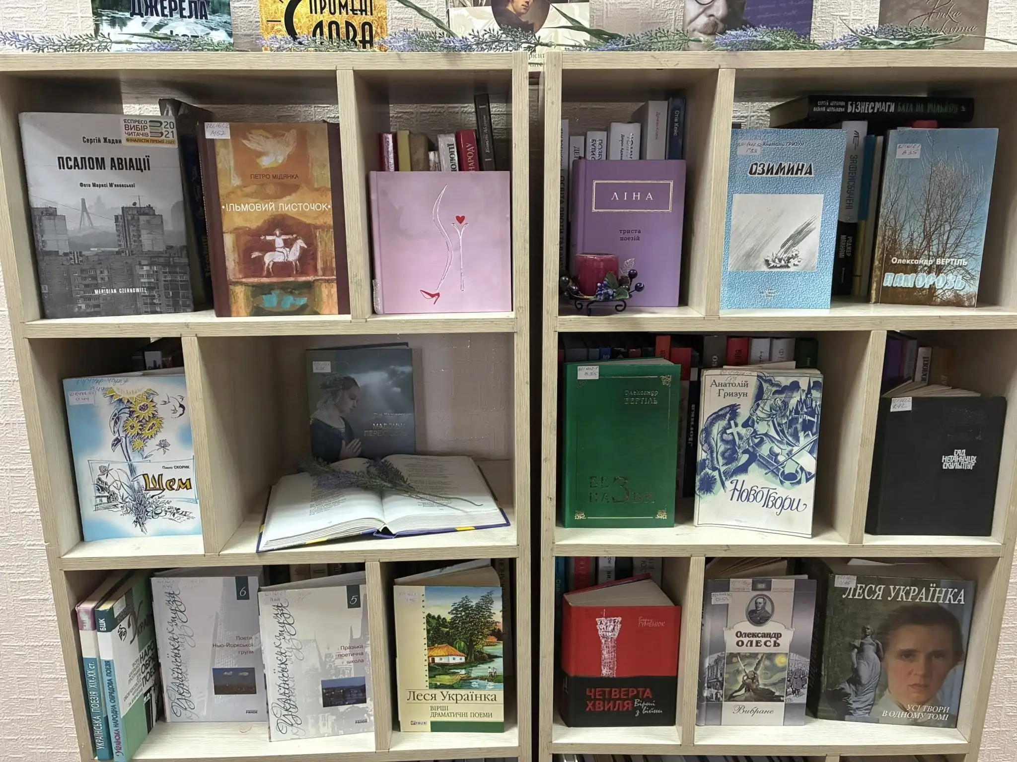 Бібліотека релокована до Сум з Хотіні