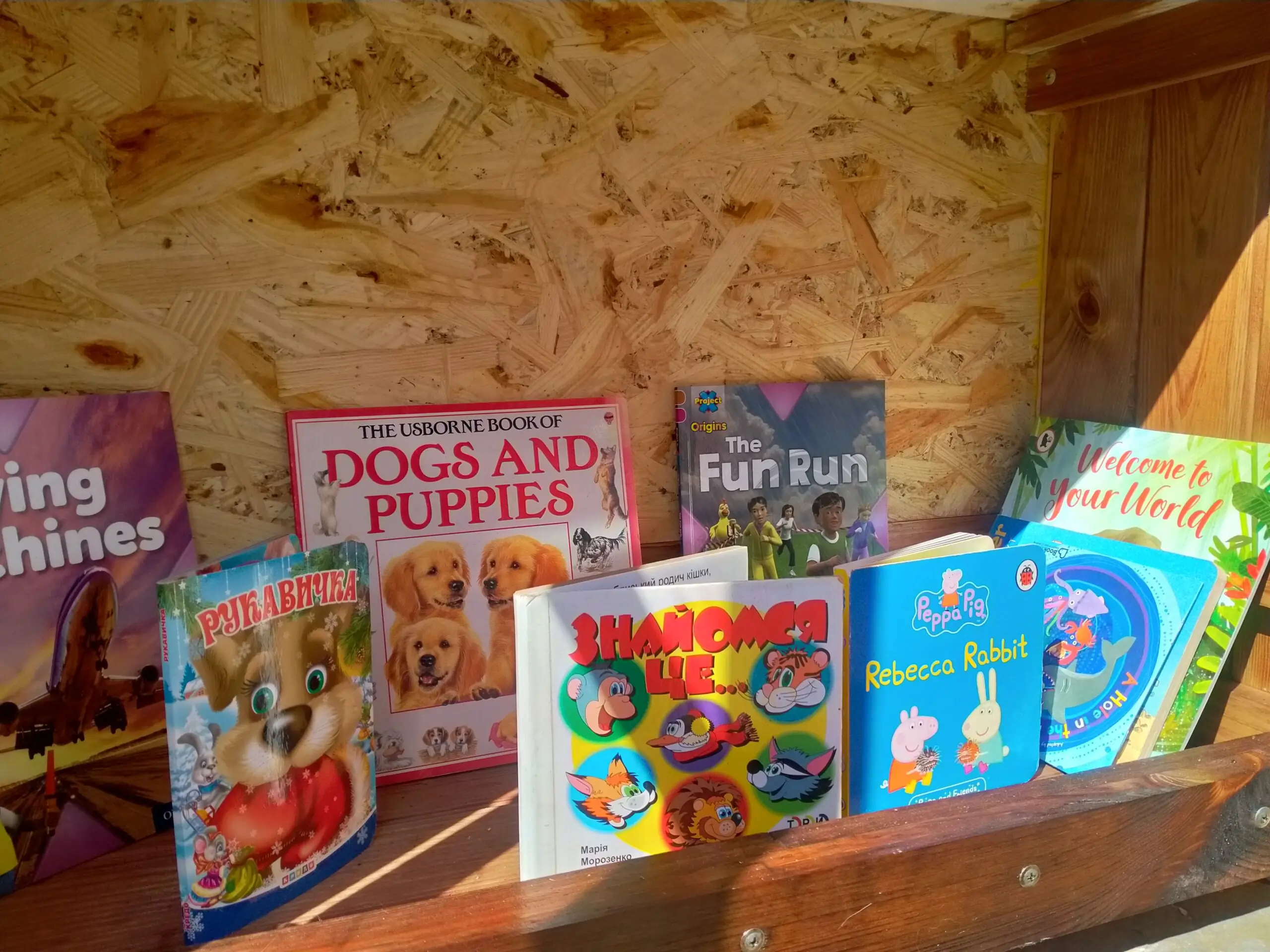 книги на поличці