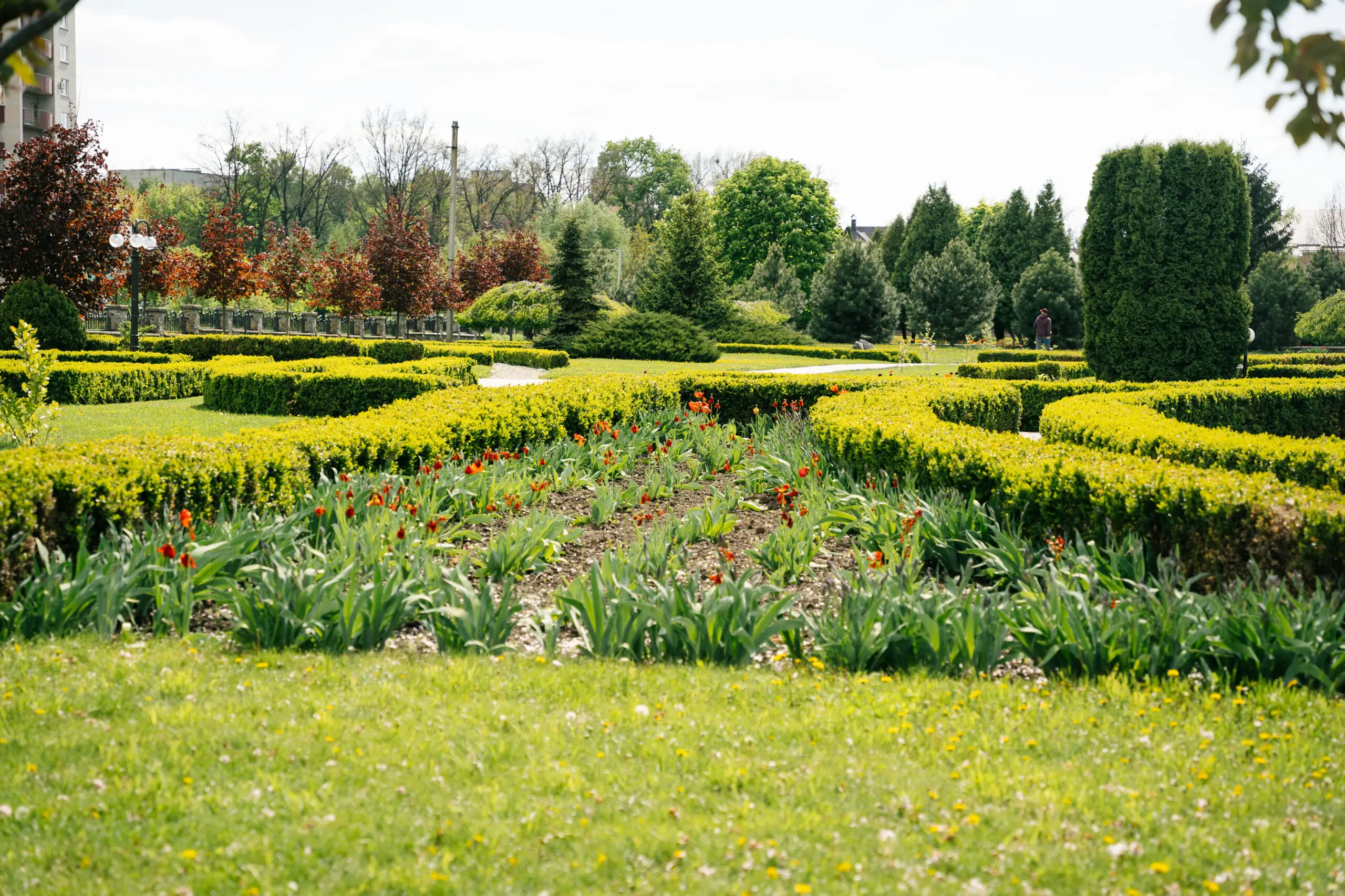 Дендрарій СНАУ