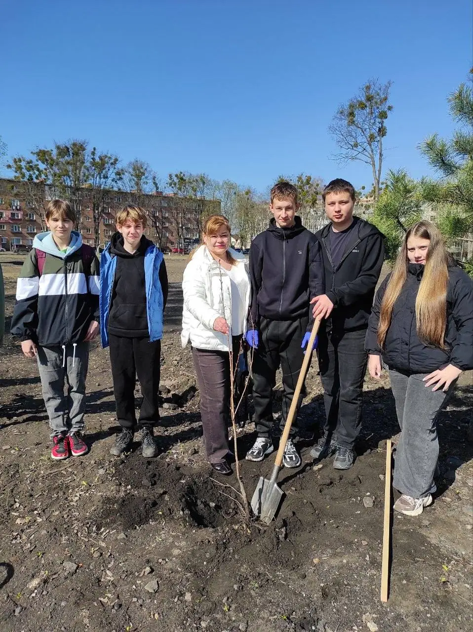 діти біля школи саджають дерева