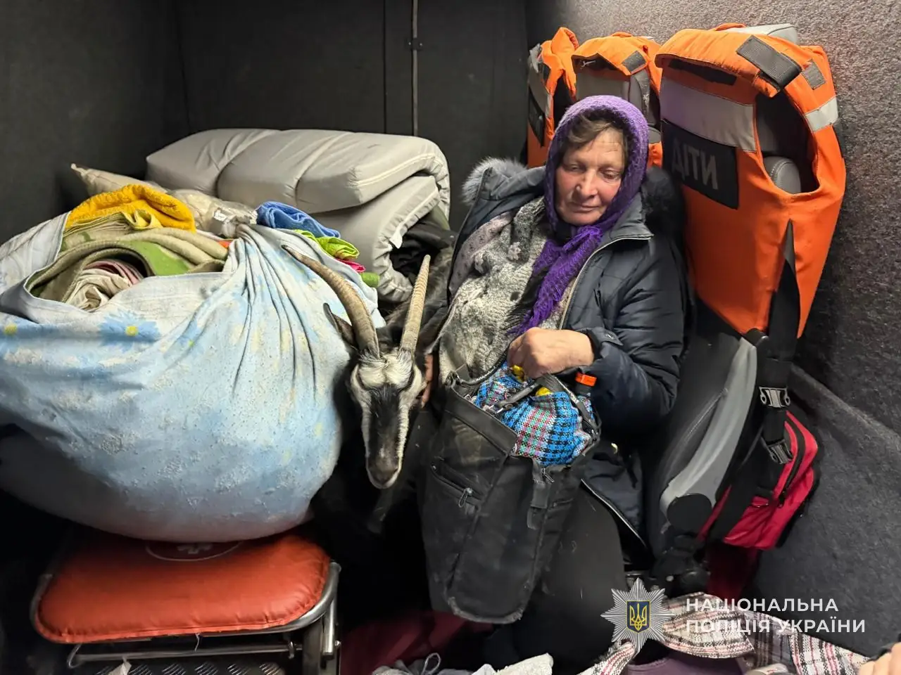 евакуація кіз Сумщини