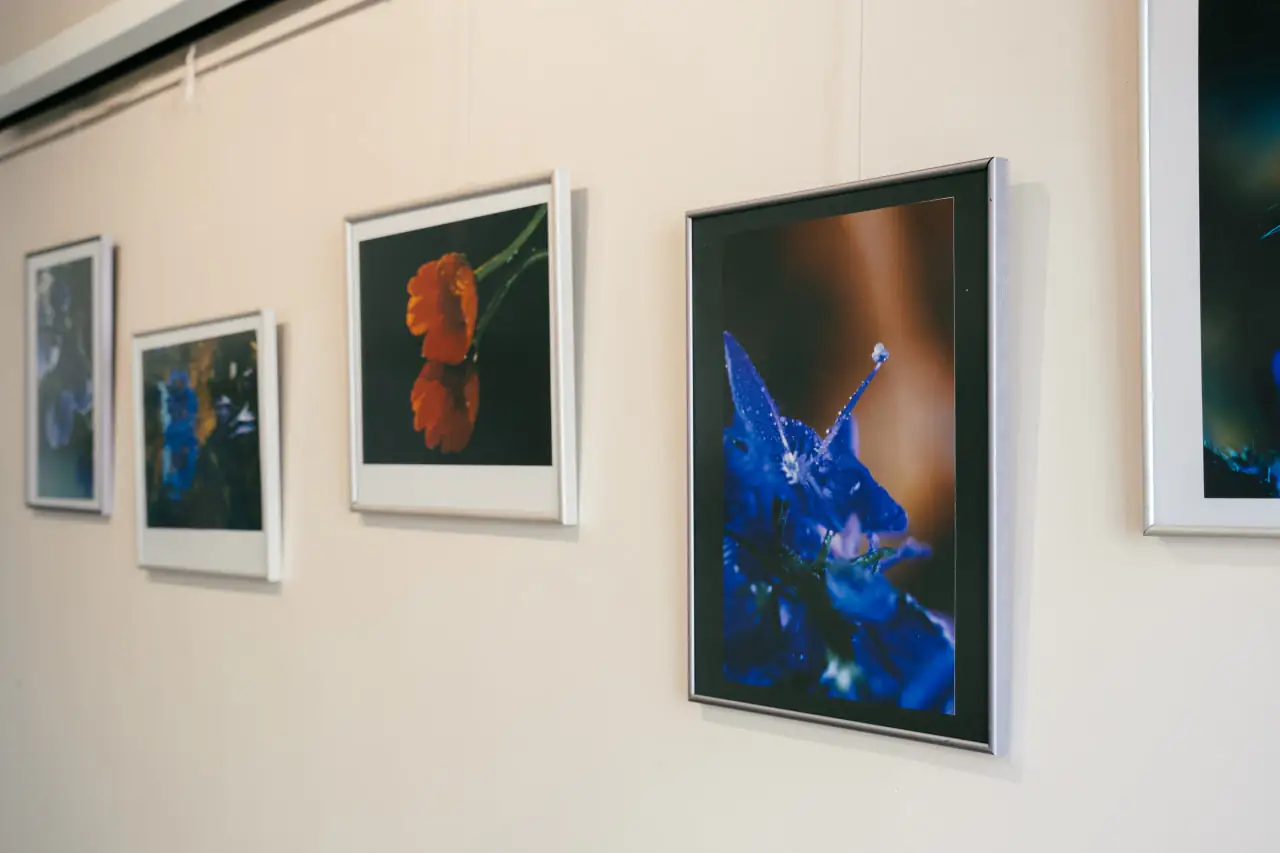 Виставка фото Наталії Семенченко у Сумах