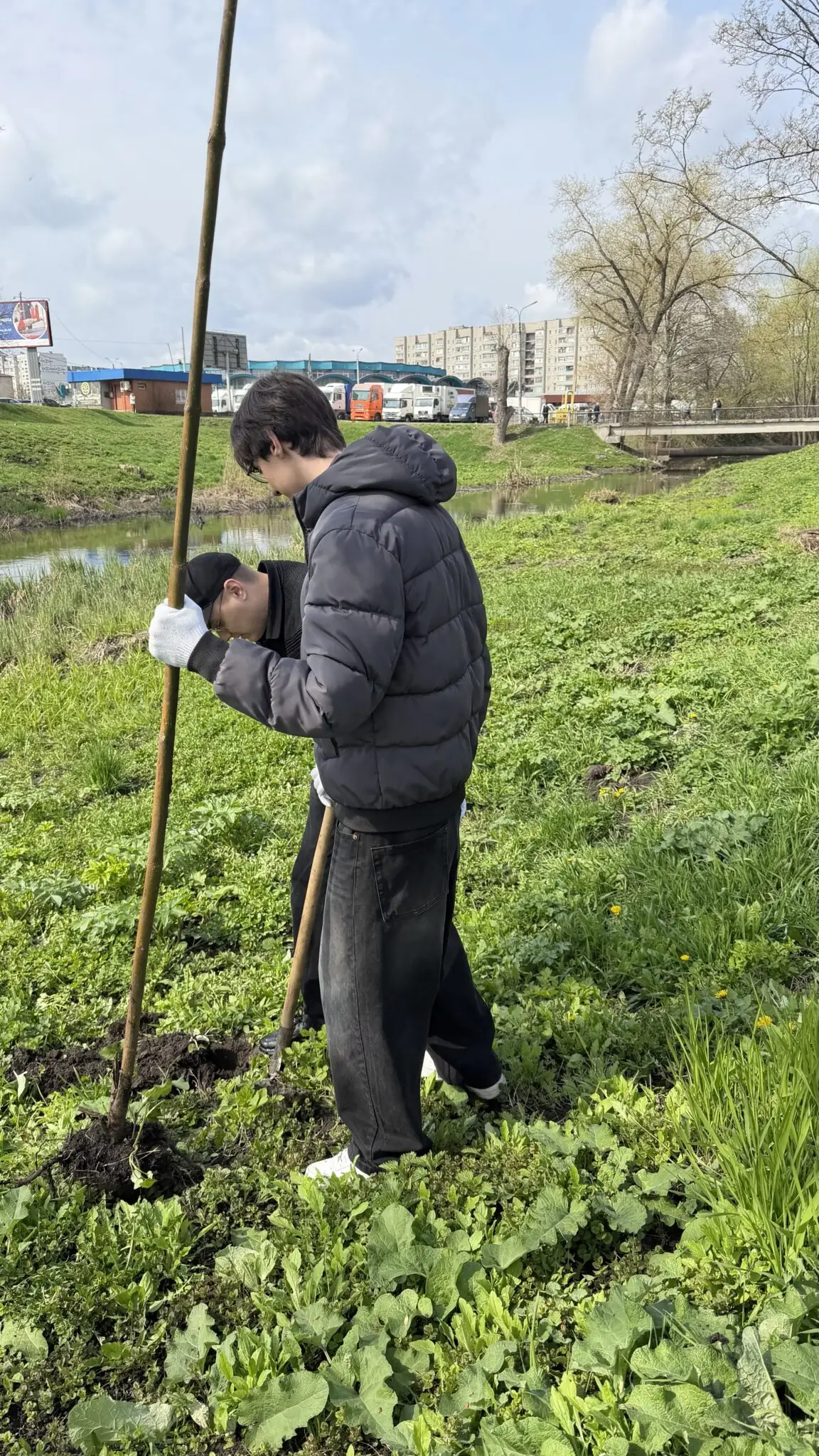 Молодь висаджує дерева в Сумах