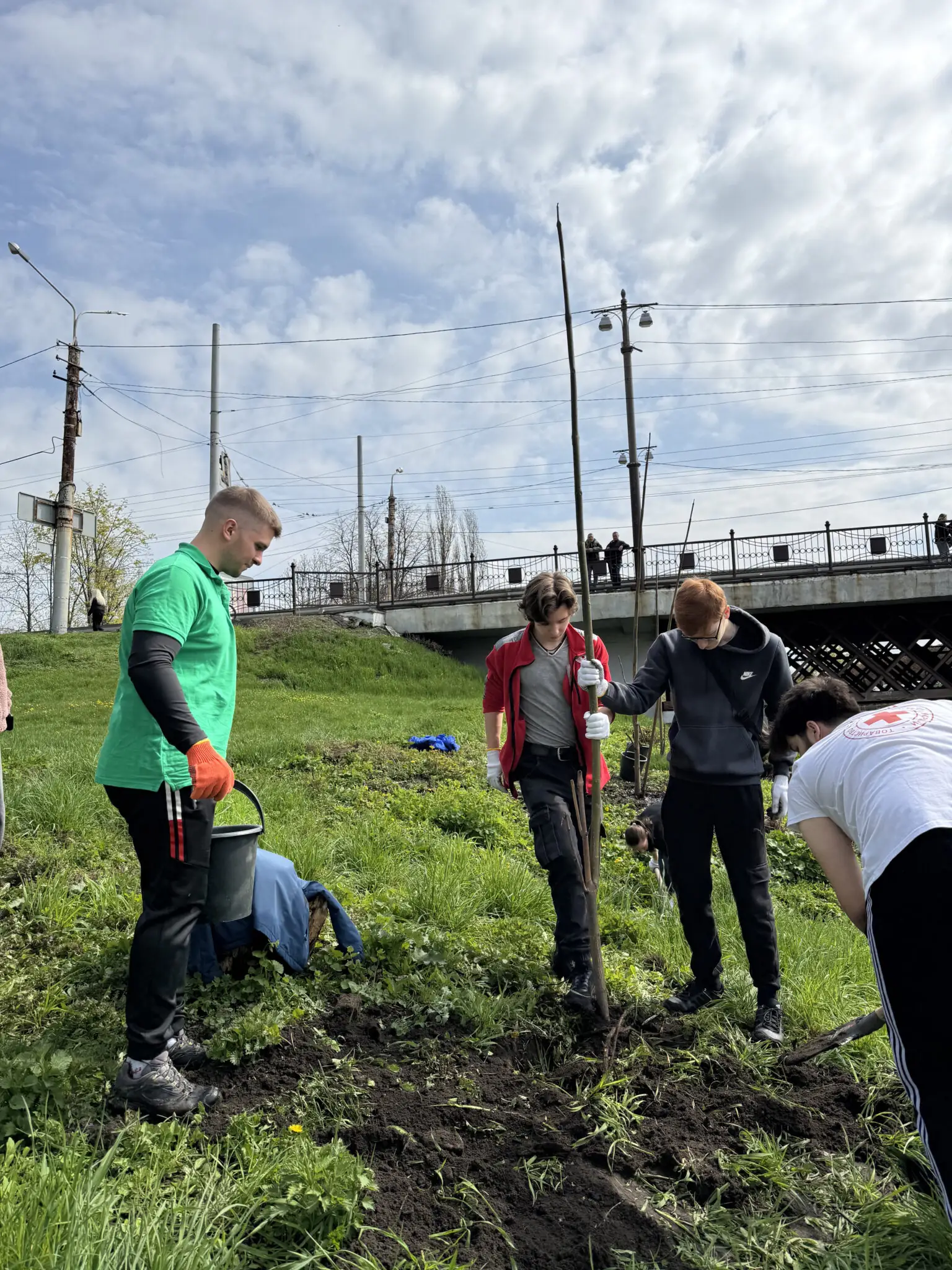 Молодь висаджує дерева в центрі Сум