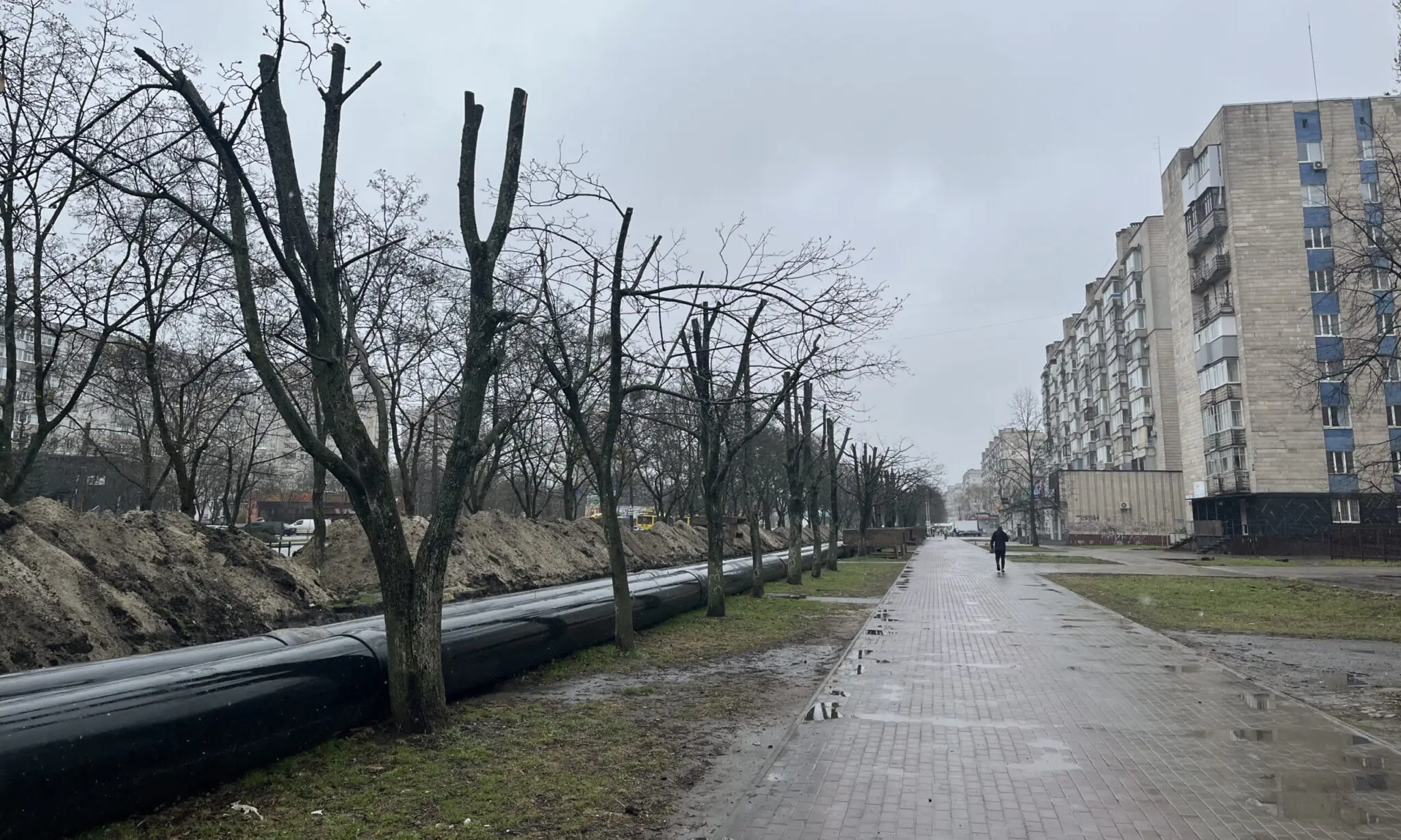 obpylyani dereva v sumakh na kharkivsʹkiy Обрубані дерева в Сумах на Харківській