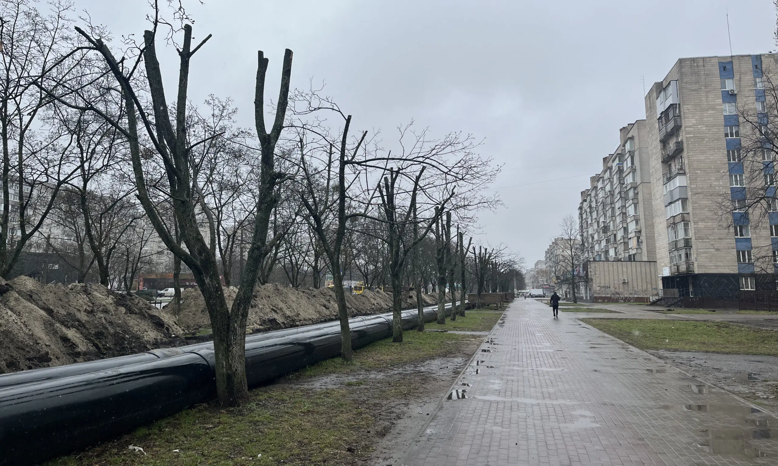 Обрубані дерева в Сумах на Харківській