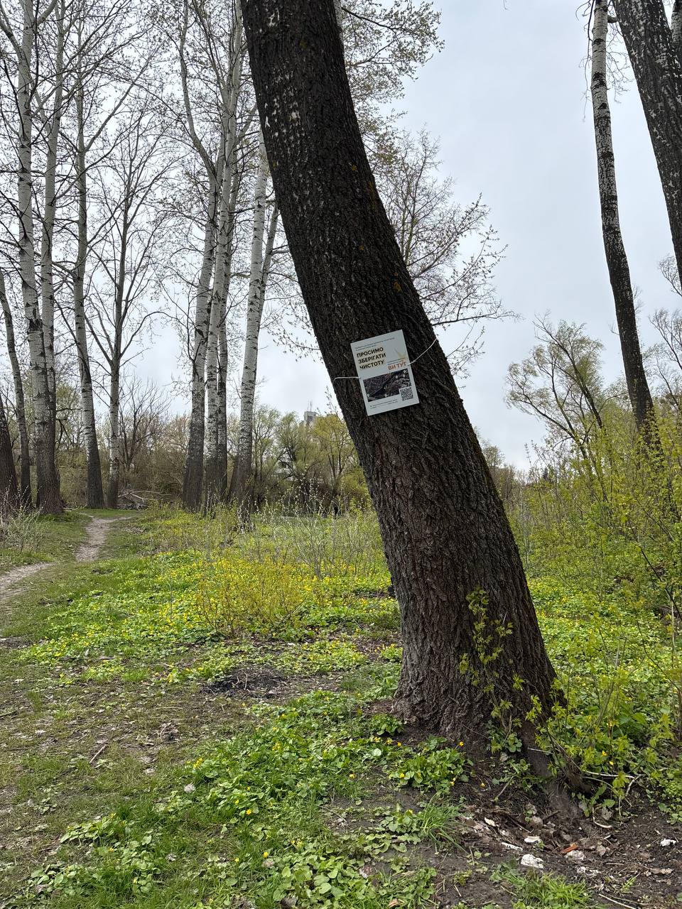 prosymo chistoty sumy