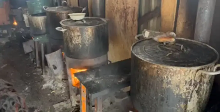 притулок для тварин у Сумах