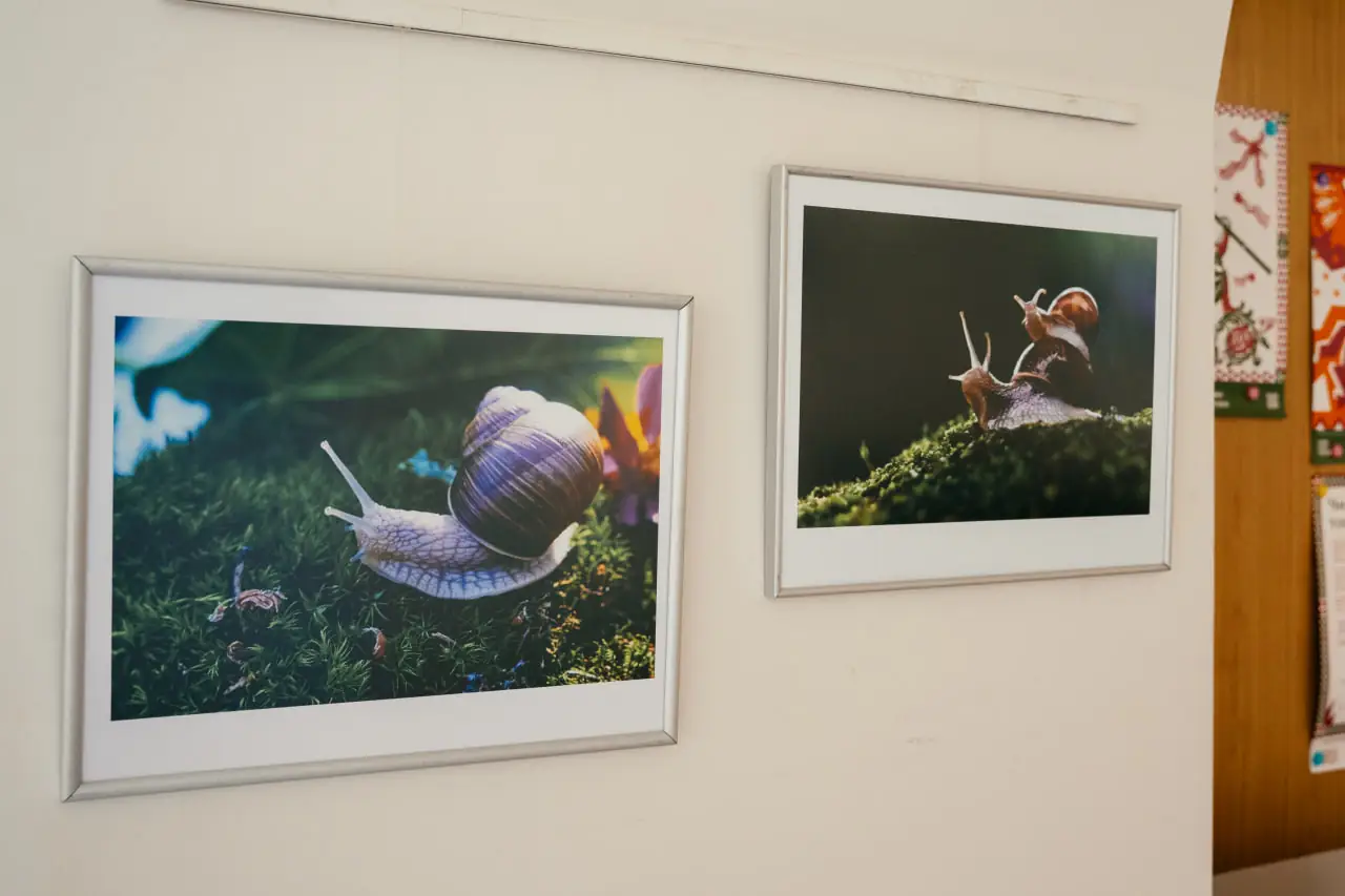 Фото Наталії Семенченко