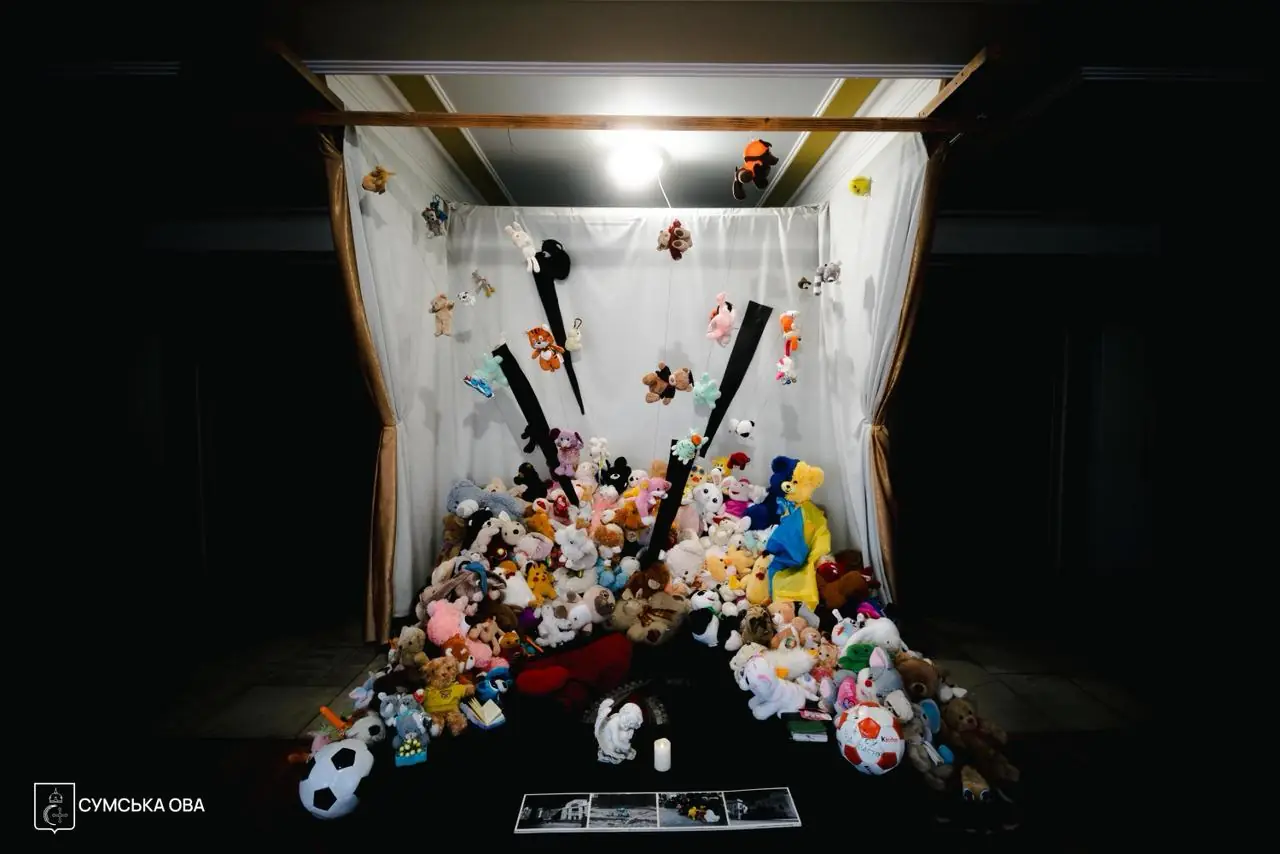 інсталяція в краєзнавчому музеї